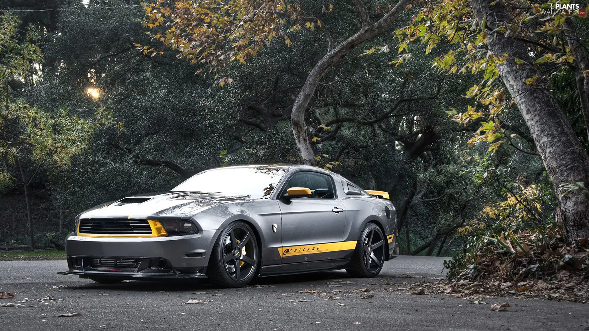 trees, viewes, Mustang, Way, Ford