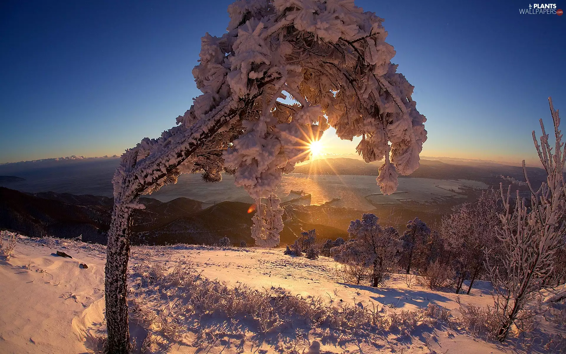 trees, winter, Great Sunsets, rays of the Sun, viewes, Hill