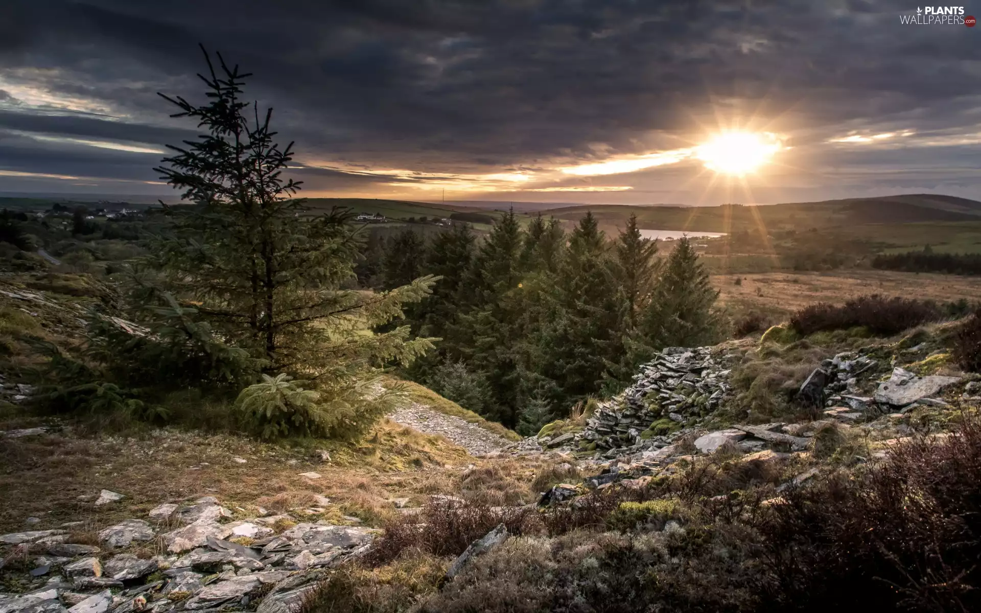 trees, The Hills, Stones, rays of the Sun, viewes, Mountains