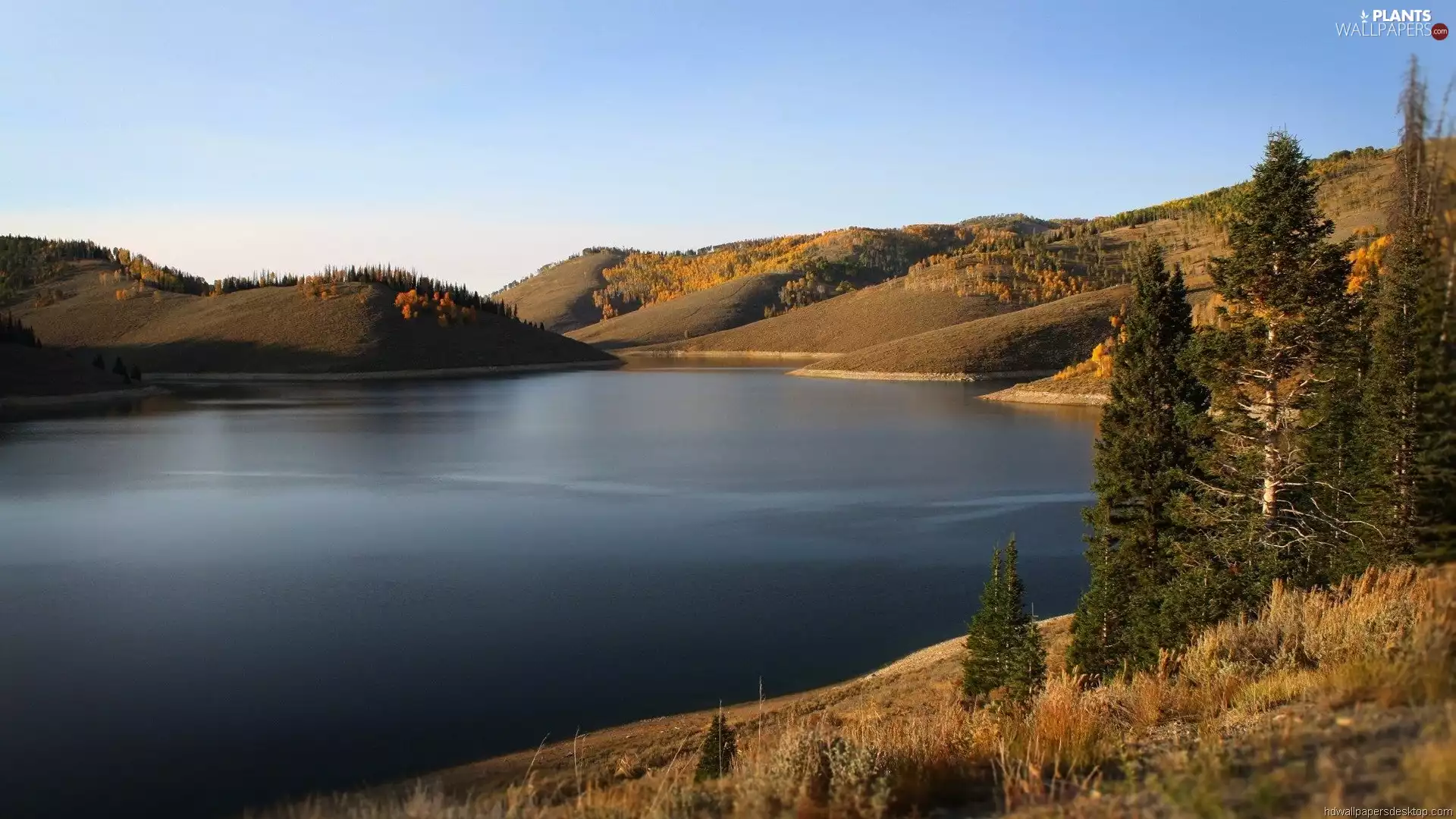 lake, trees, viewes, The Hills
