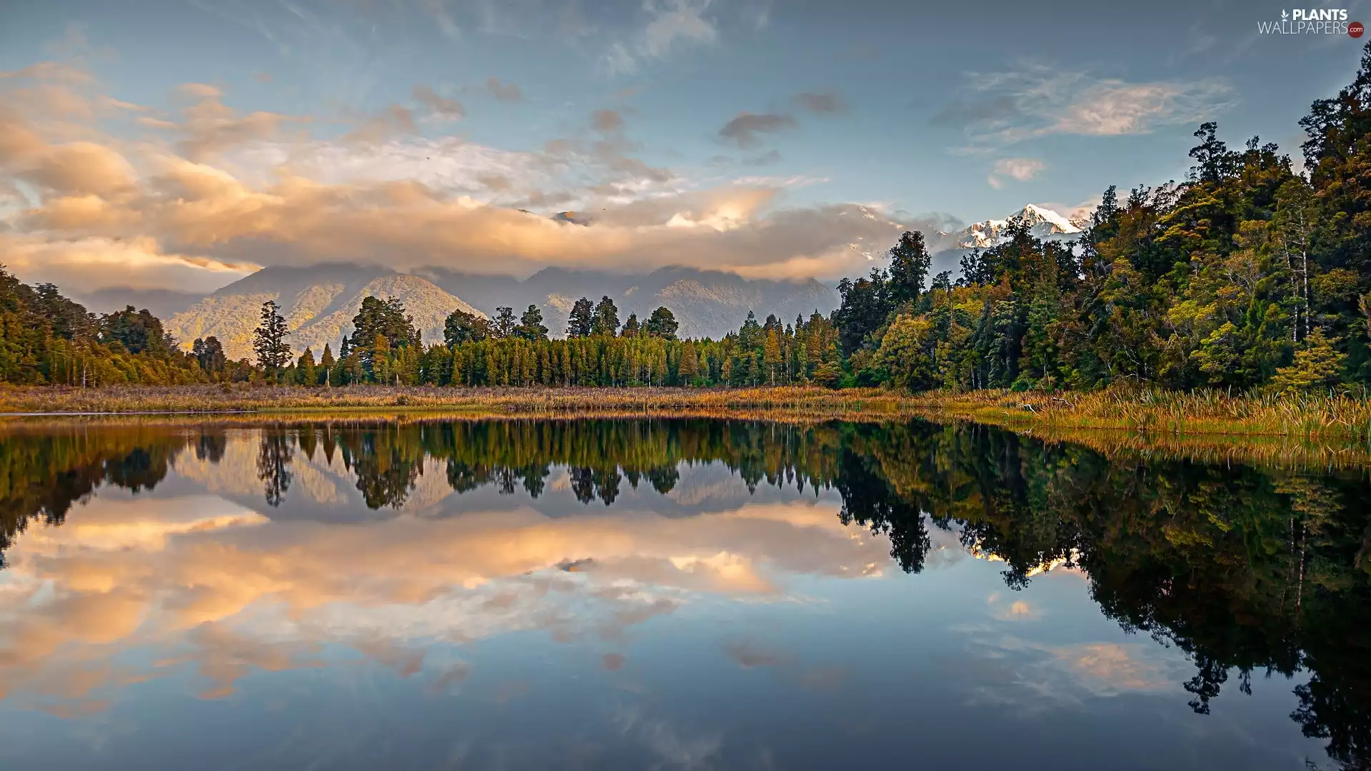 trees, Mountains, reflection, clouds, Matheson Lake, viewes, New Zeland