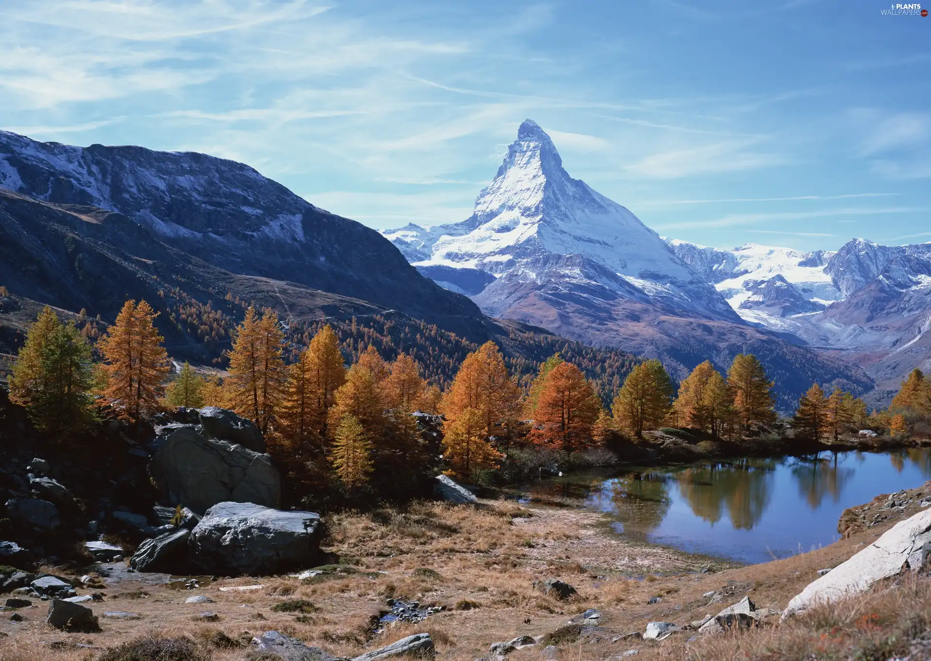 woods, Snowy, trees, viewes, lake, Mountains