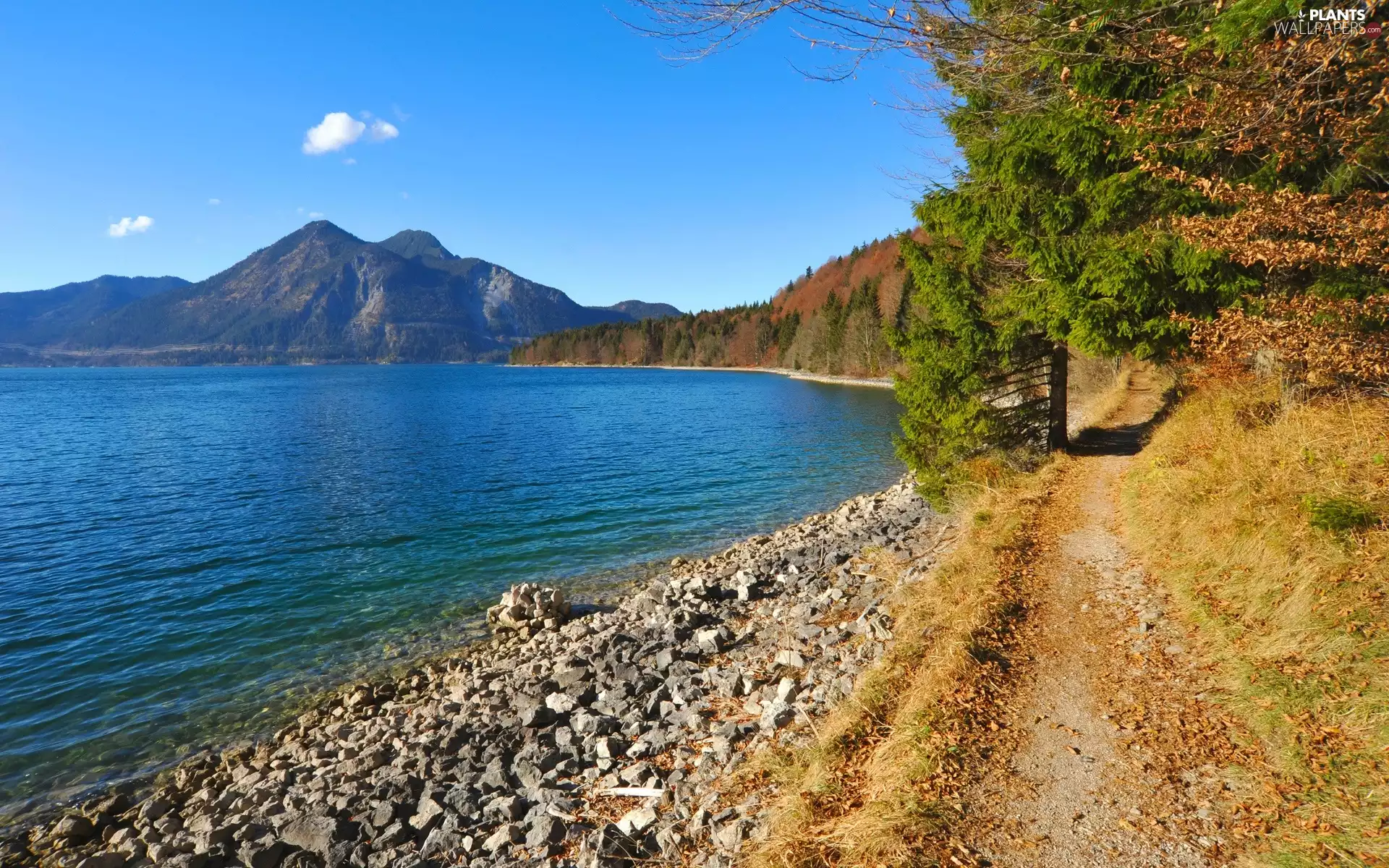 trees, Bavaria, lake, Way, Mountains, Germany, autumn, Stones, viewes, forest