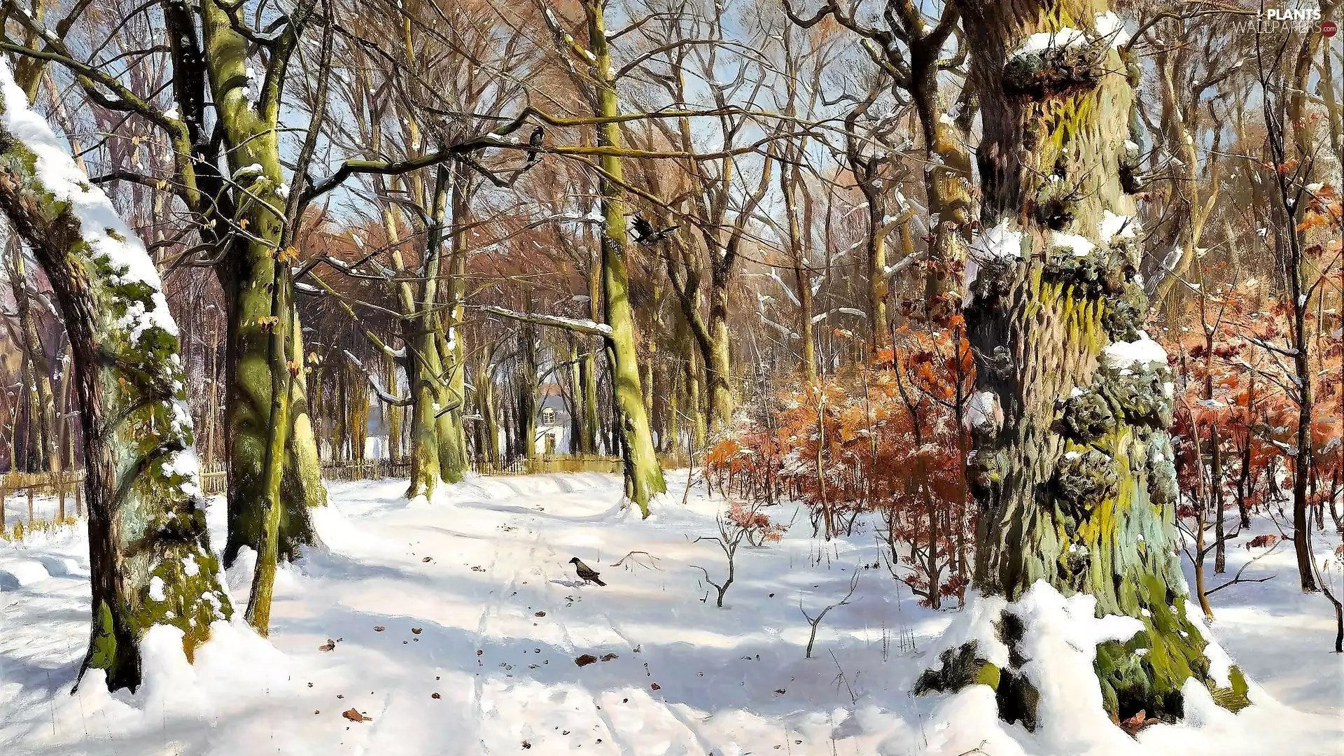 picture, In the Charlottenlund forest, forest, winter, viewes, Peder Mørk Mønsted, painting, trees