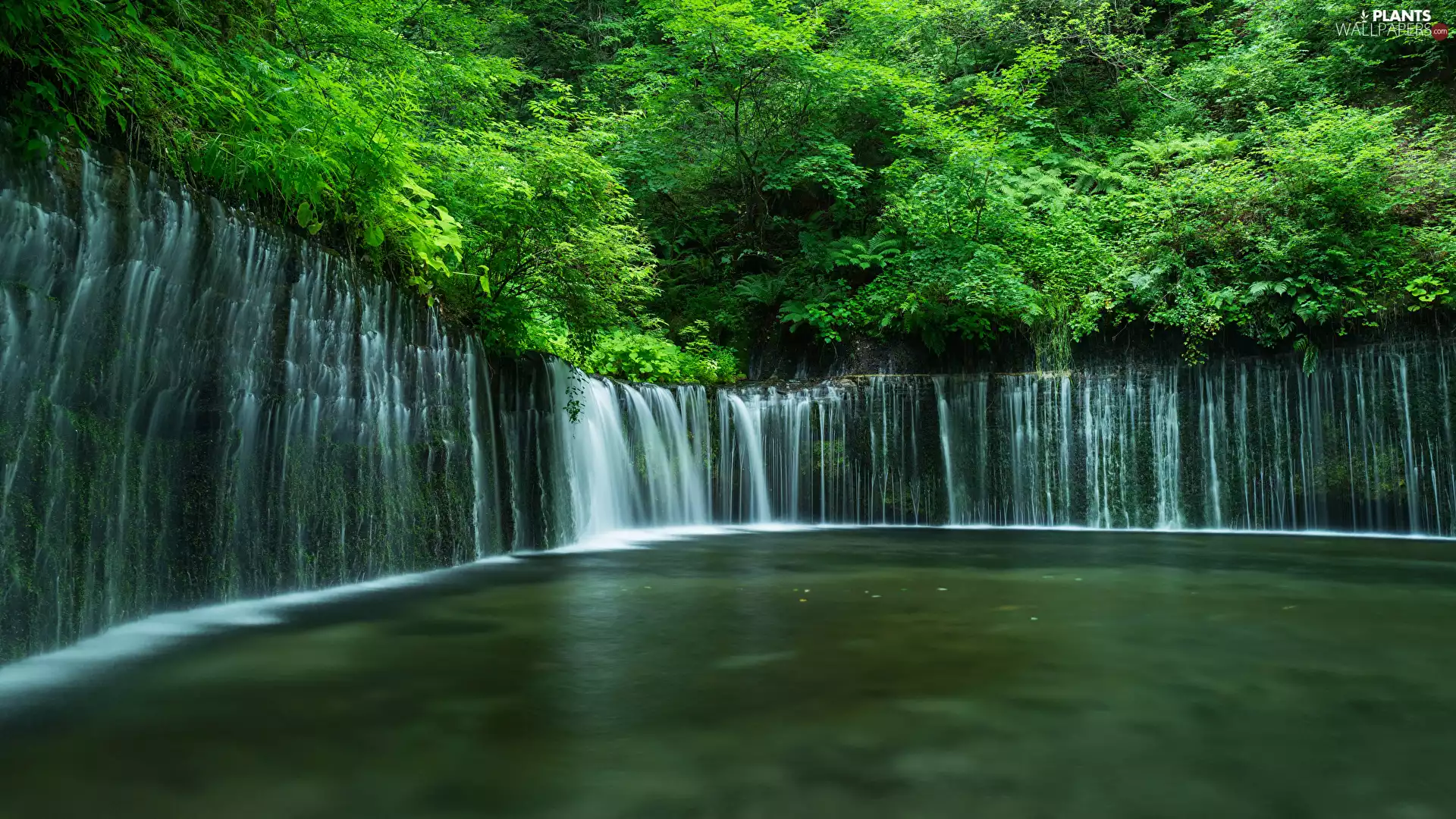 Fuji National Park Hakone Izu, Japan, trees, viewes, rocks, Shiraito Falls