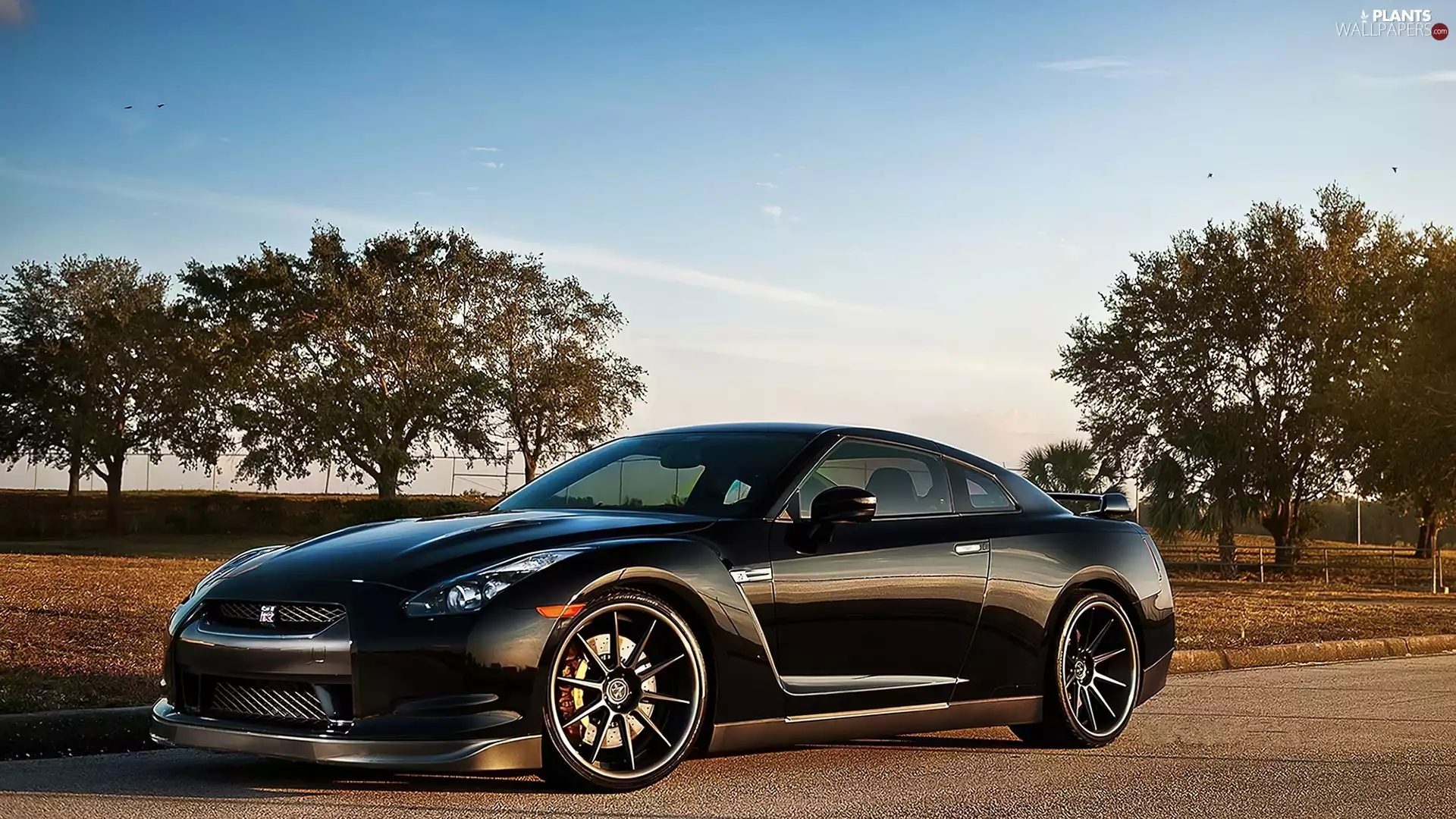 Nissan, trees, viewes, GT-R