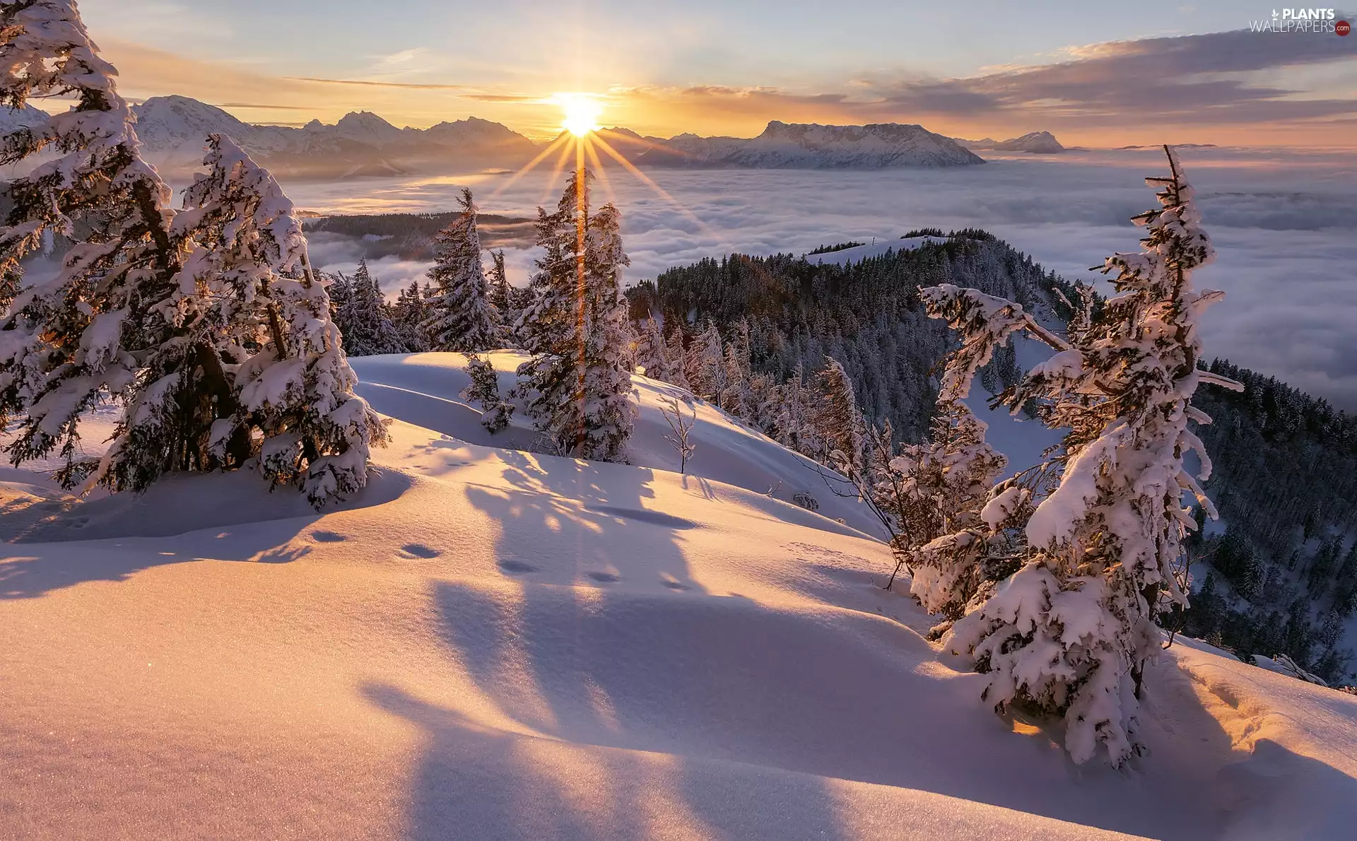 trees, Mountains, rays of the Sun, Snowy, winter, viewes, clouds