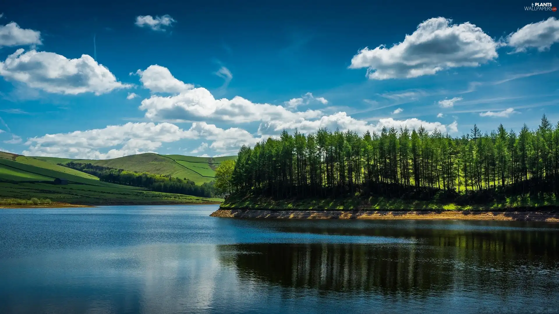 trees, viewes, Mountains, clouds, River