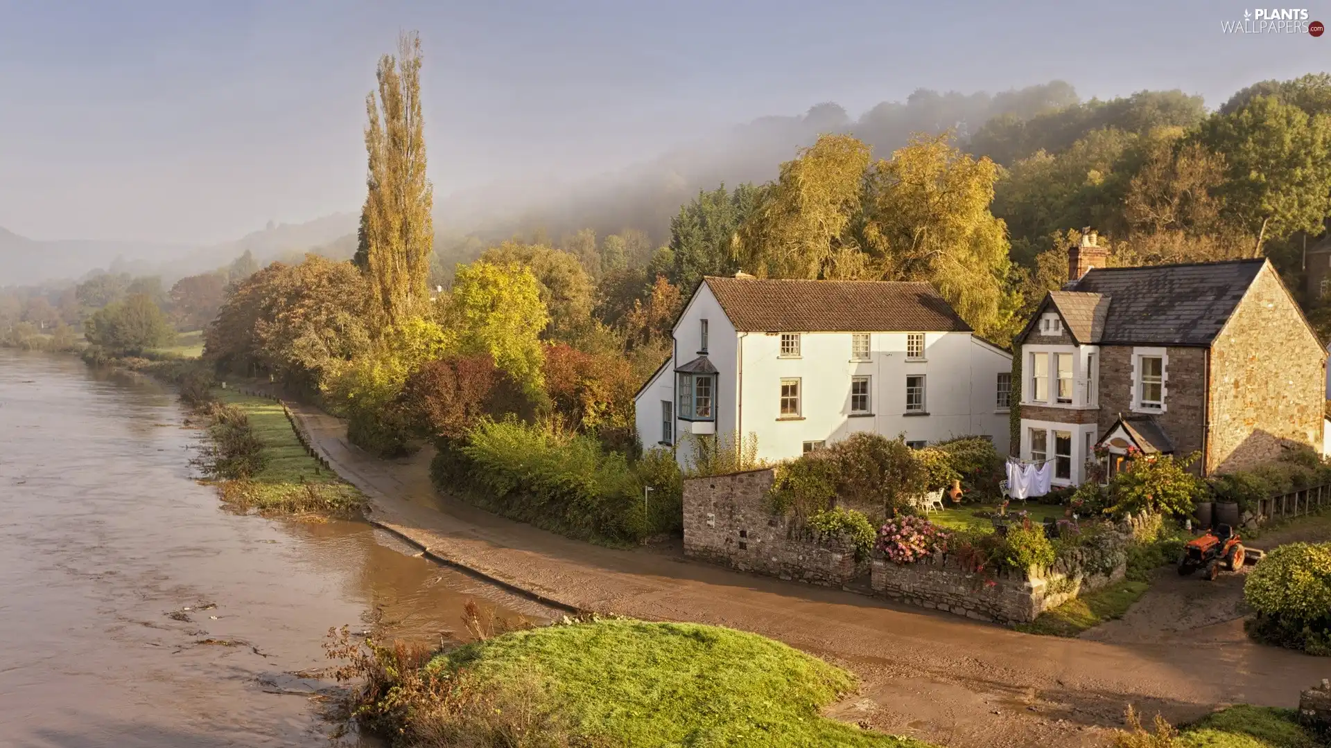 trees, viewes, at, The River, house