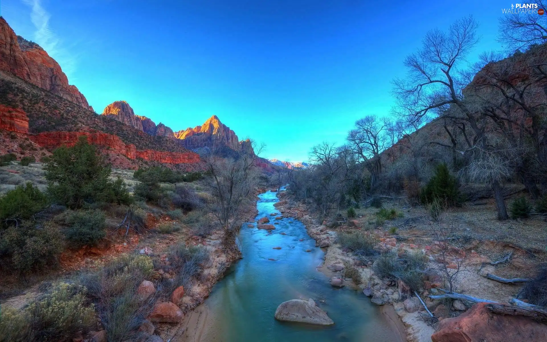 trees, viewes, Mountains, Stones, River