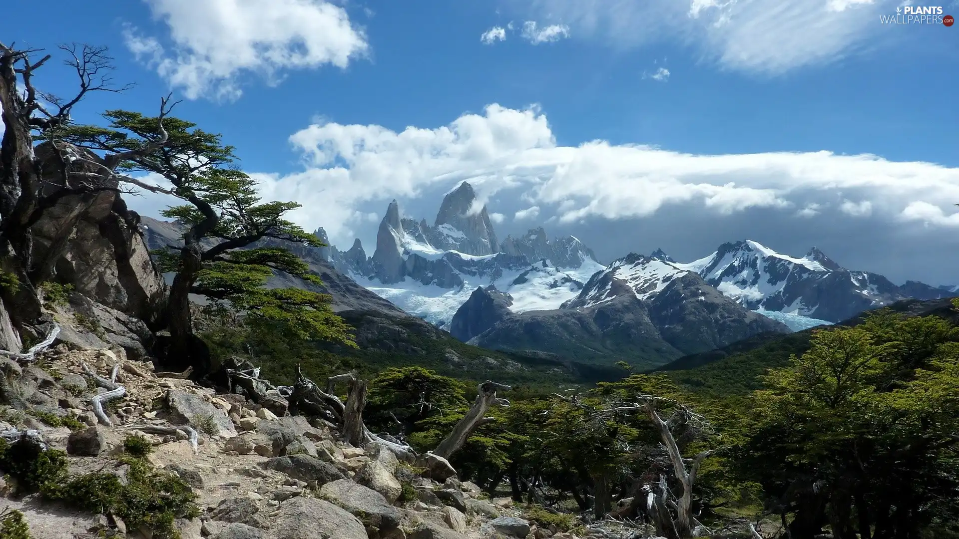 clouds, Mountains, trees, viewes, Stones, White