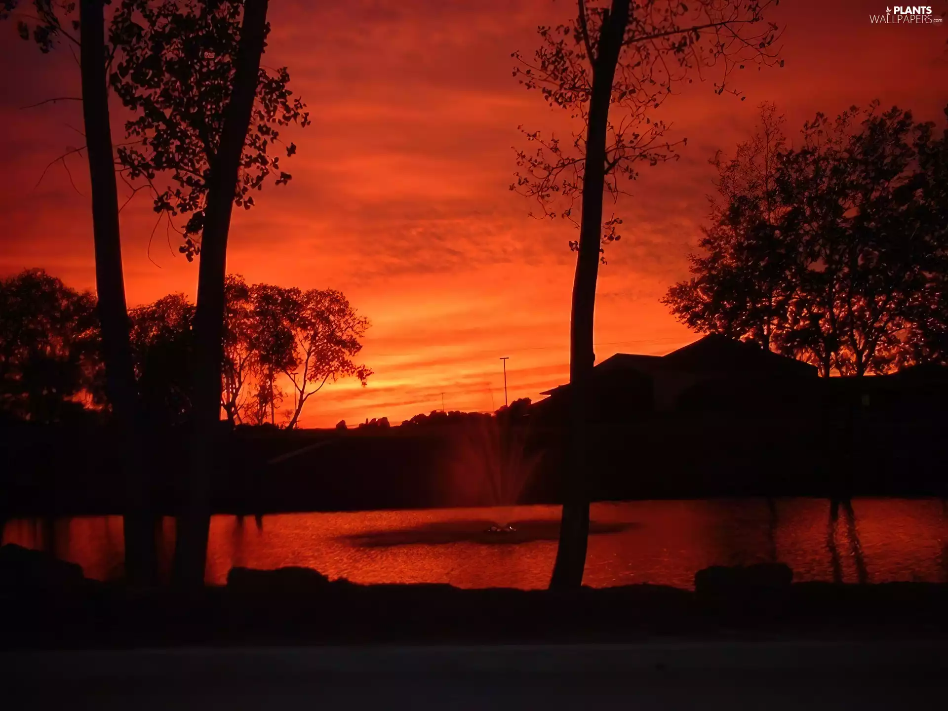 lake, trees, viewes, Great Sunsets