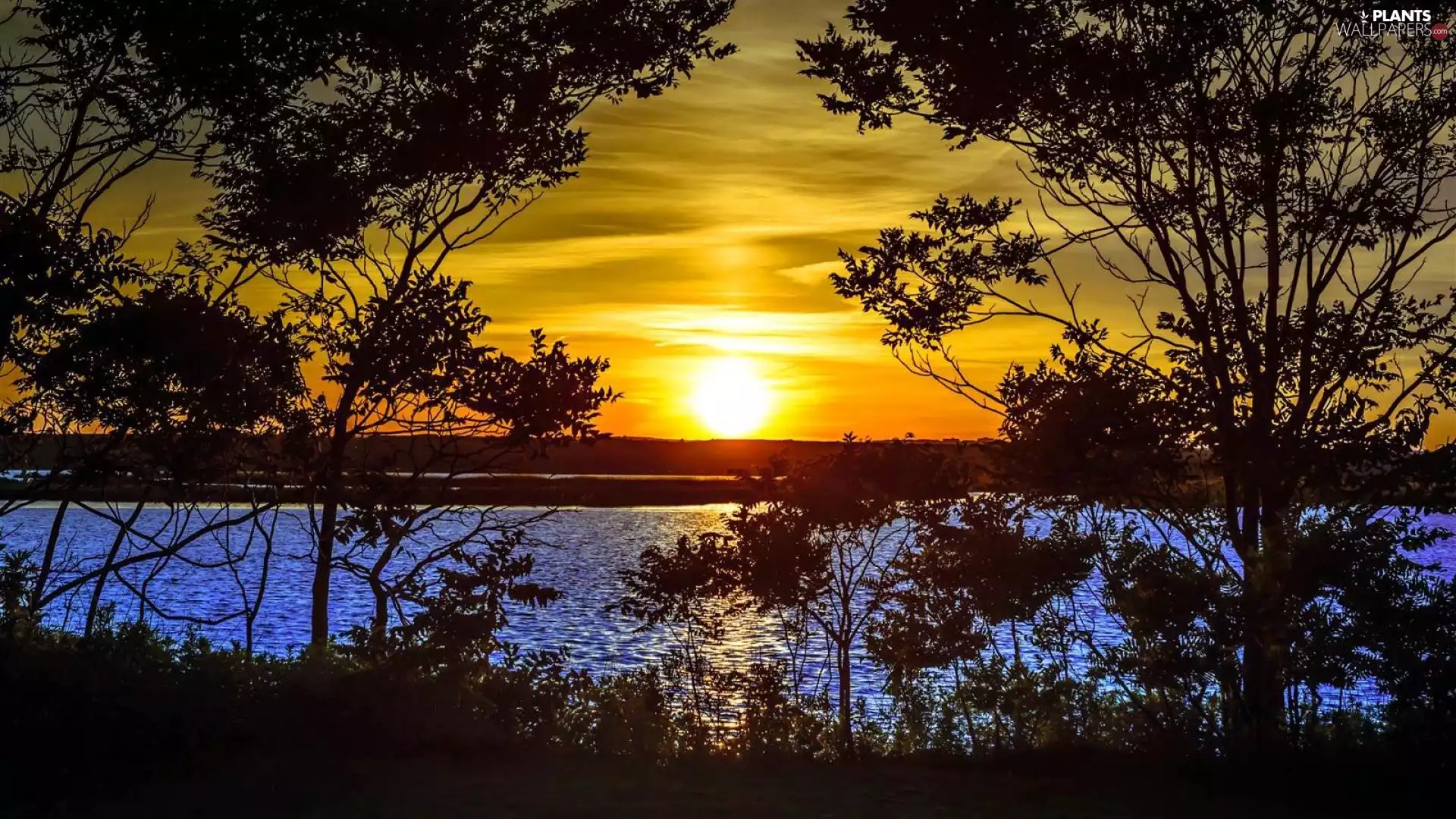 River, trees, viewes, Great Sunsets