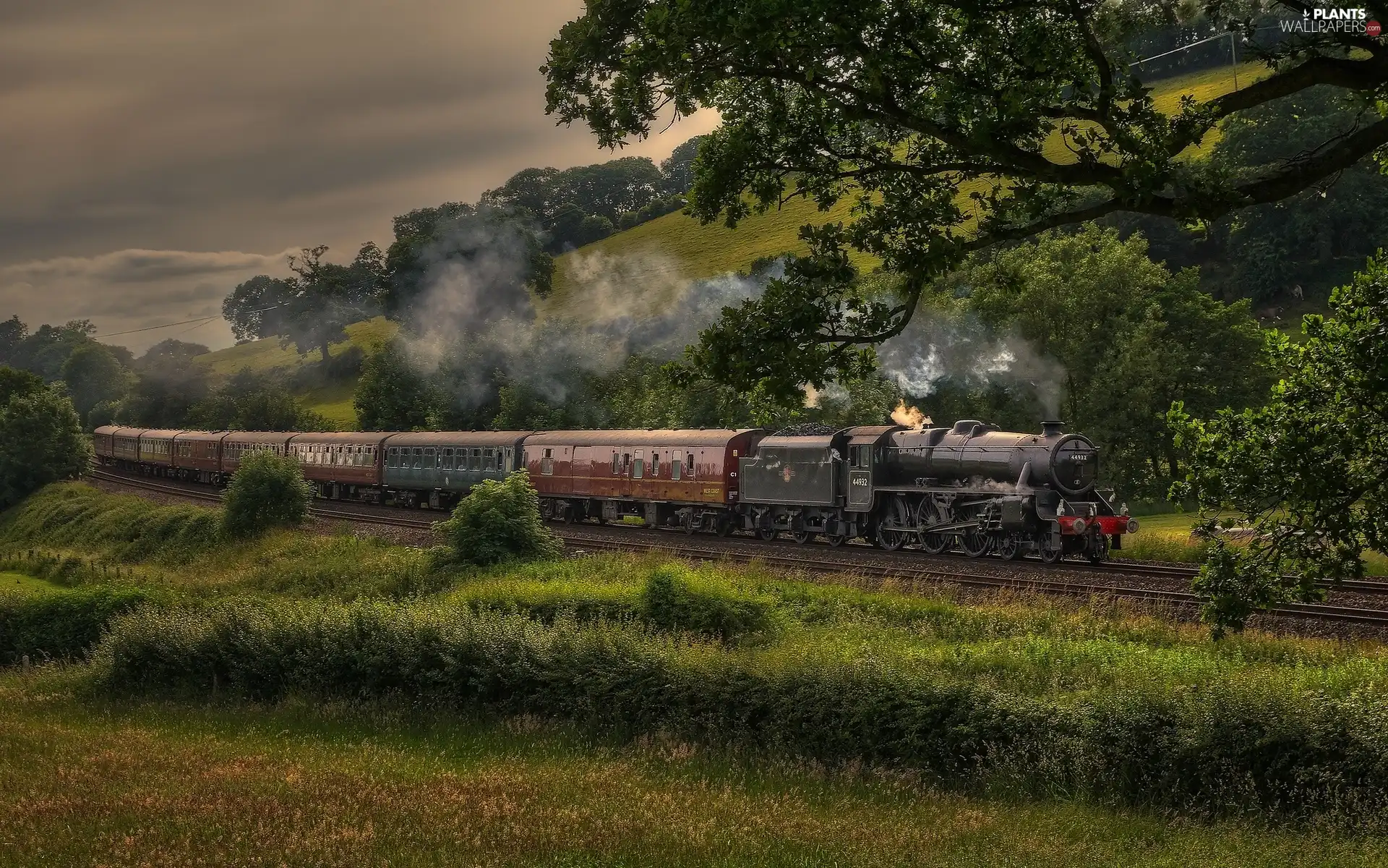 trees, viewes, locomotive, Mountains, Train