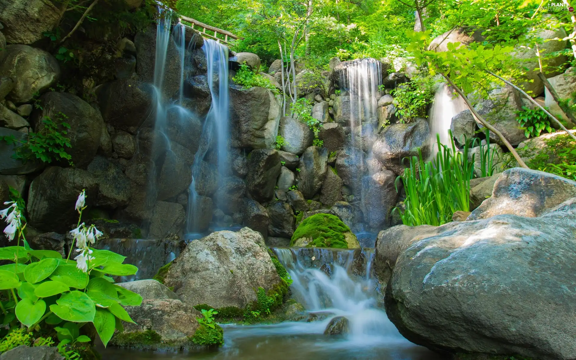 trees, viewes, rocks, Flowers, waterfall