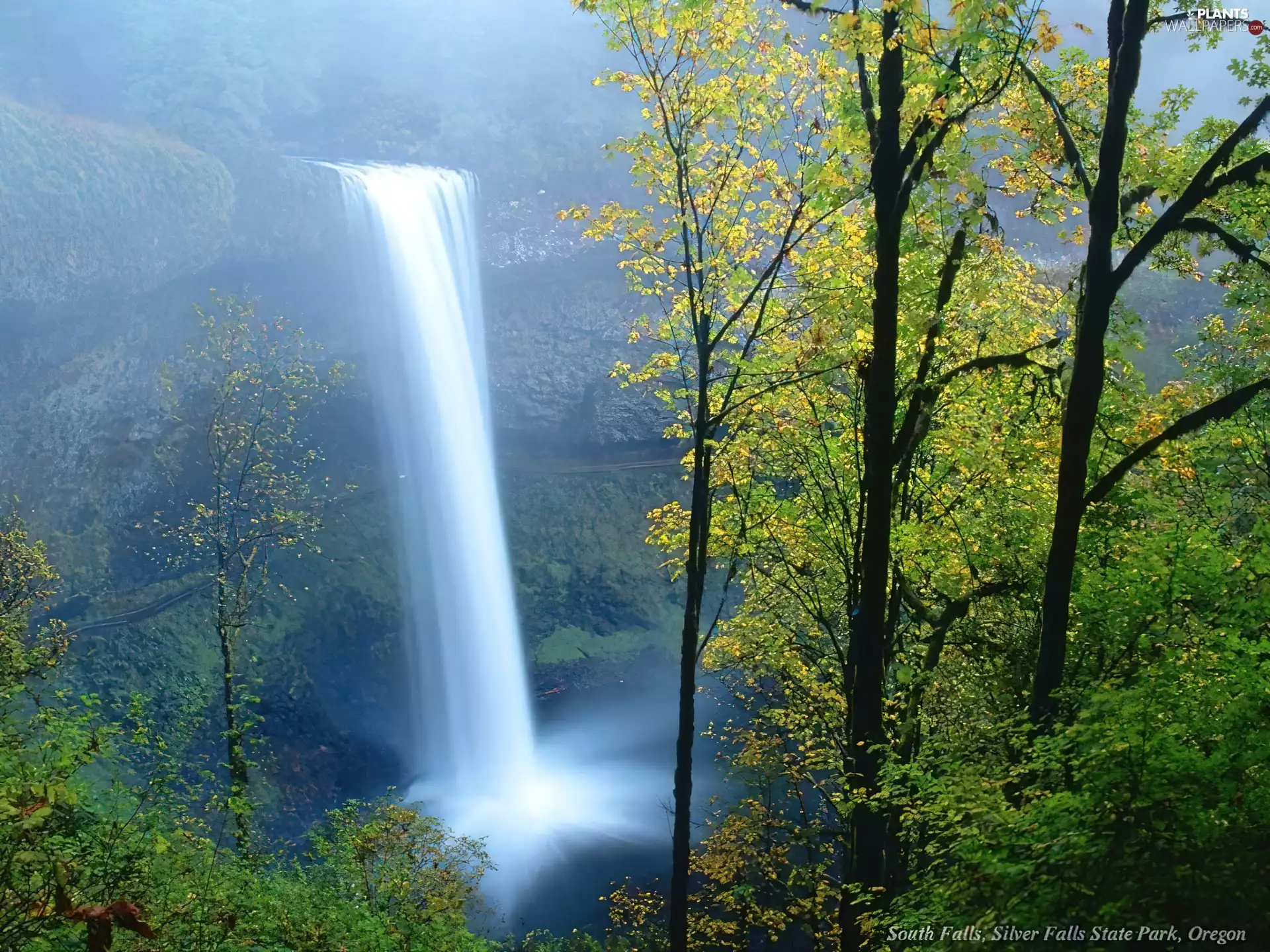 viewes, glorious waterfall, trees