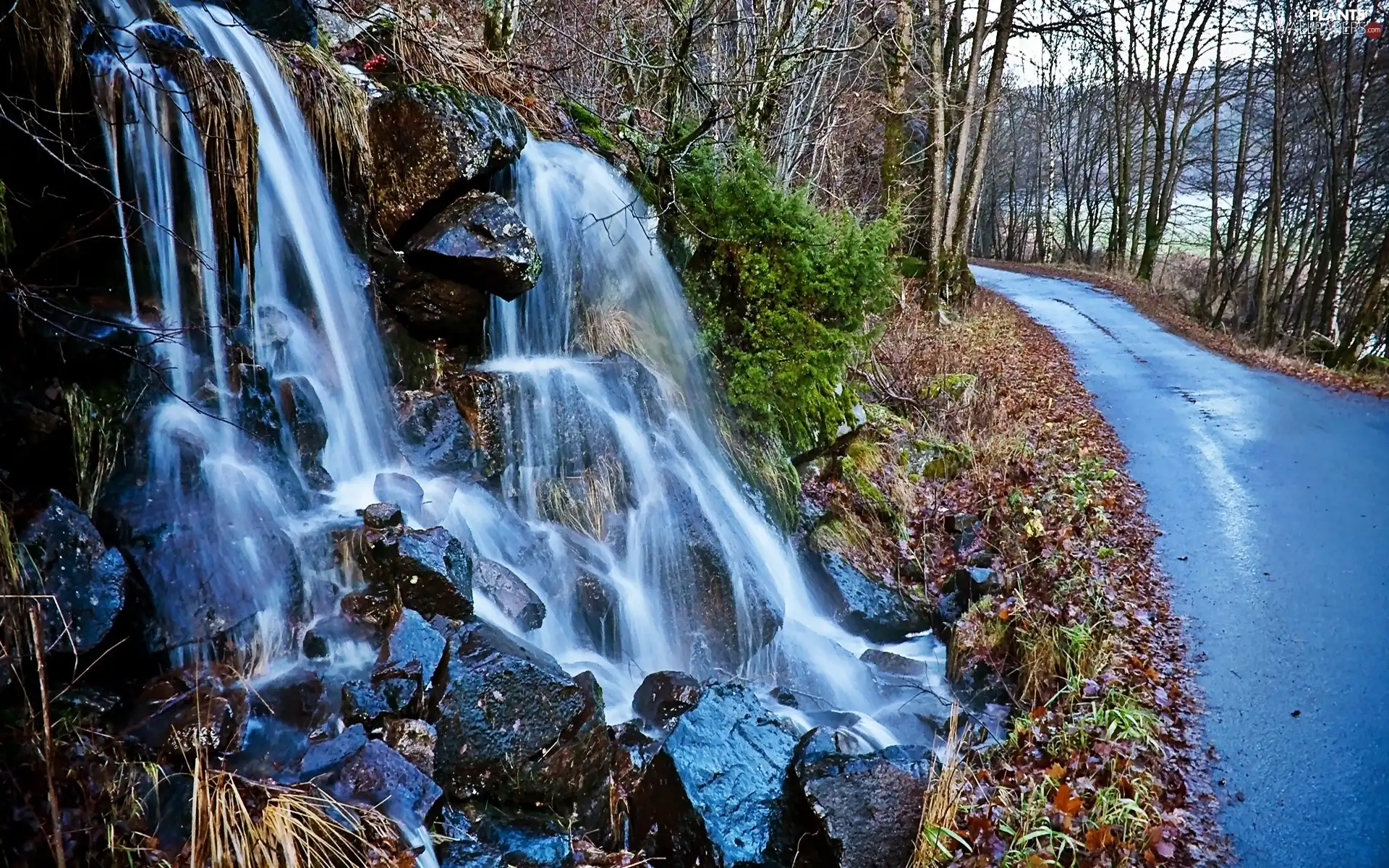 trees, viewes, Stones, Way, waterfall