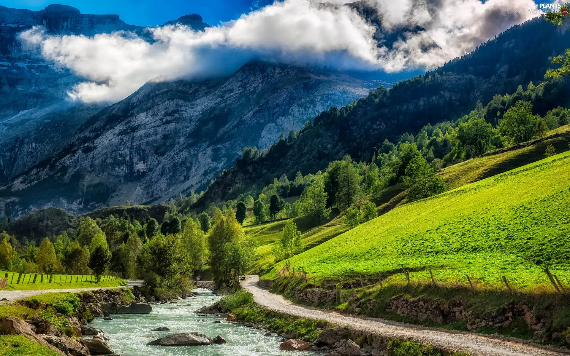 brook, Mountains, trees, viewes, Way, clouds