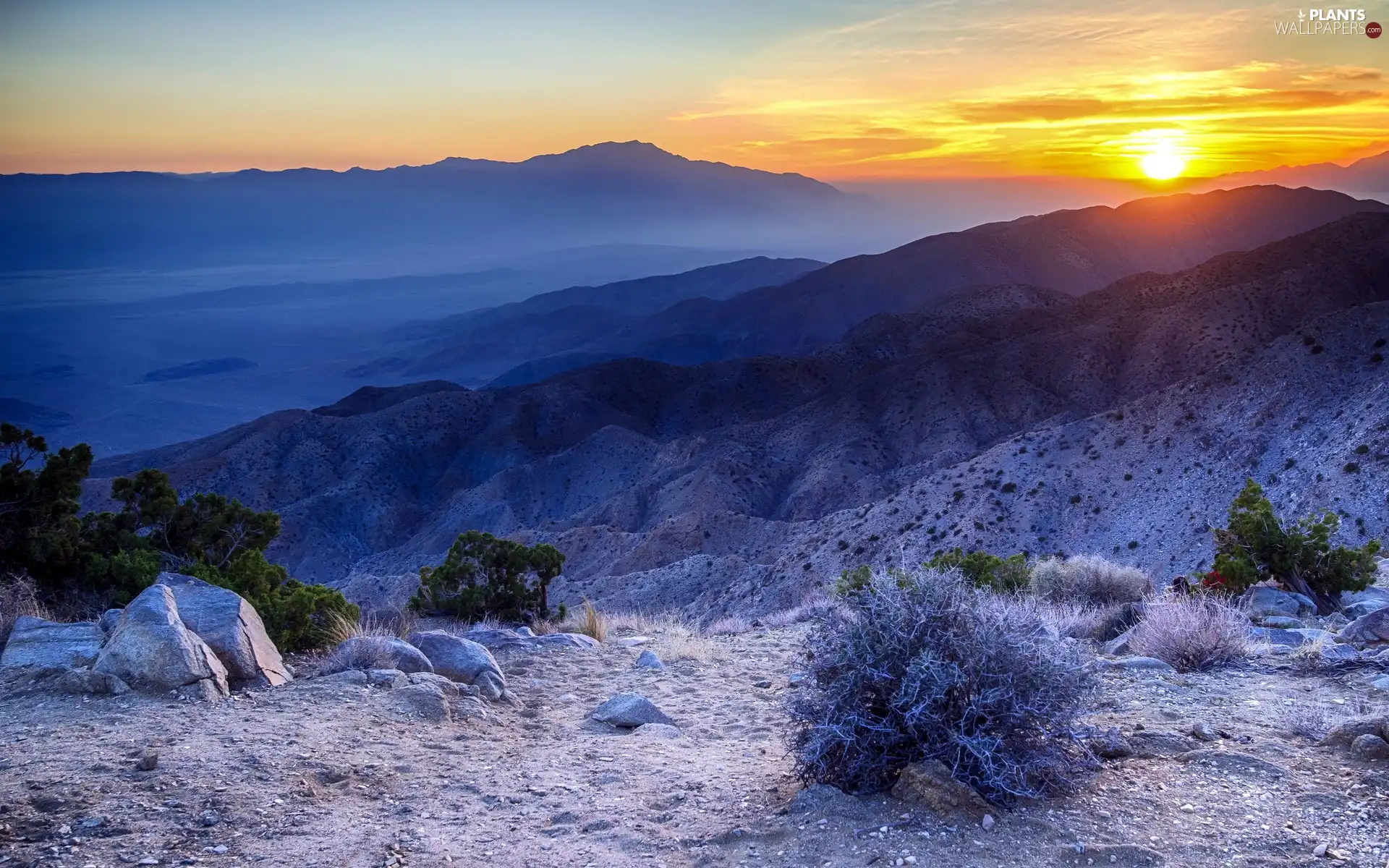 trees, viewes, sun, Mountains, west