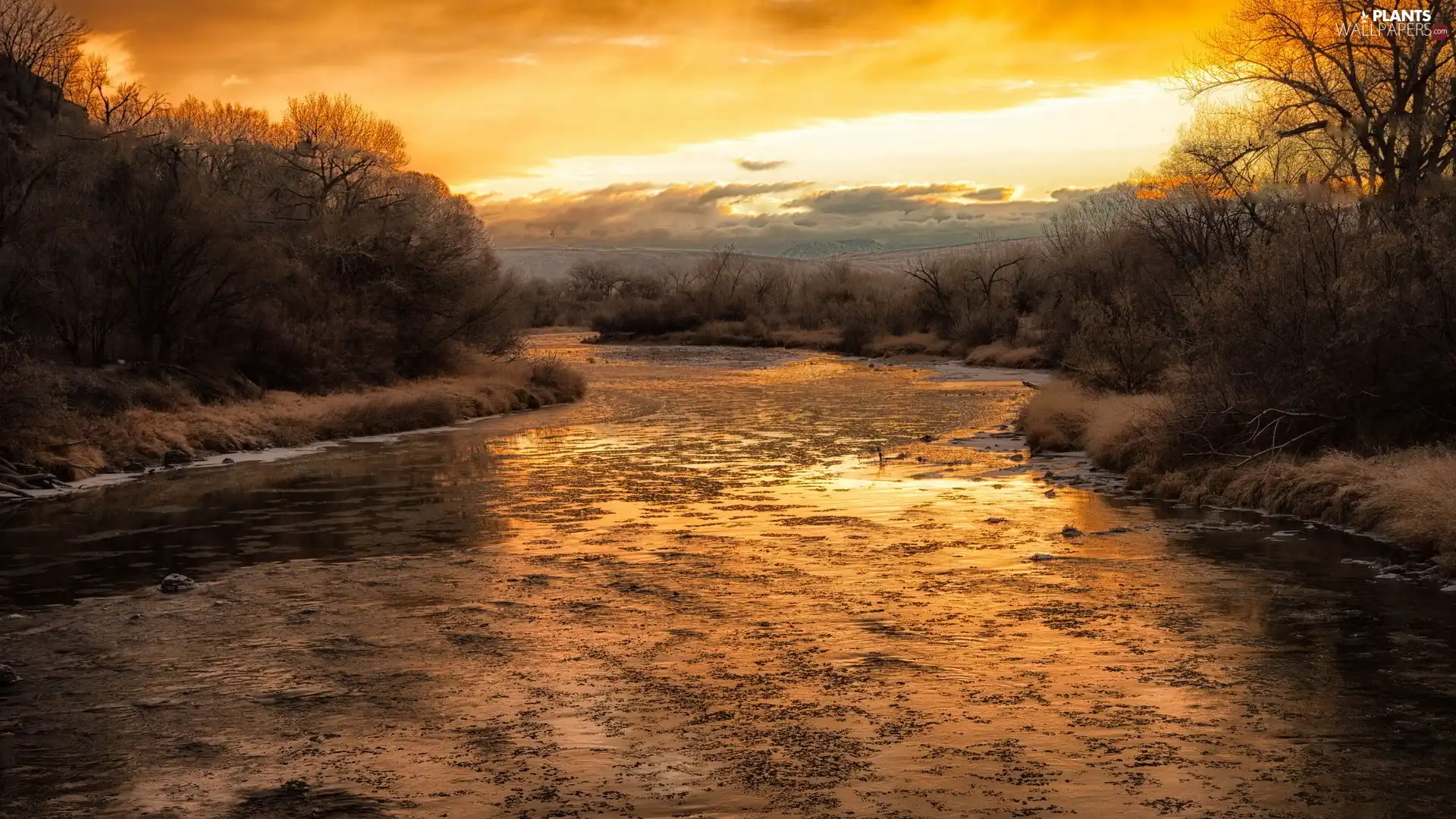 trees, viewes, sun, River, west