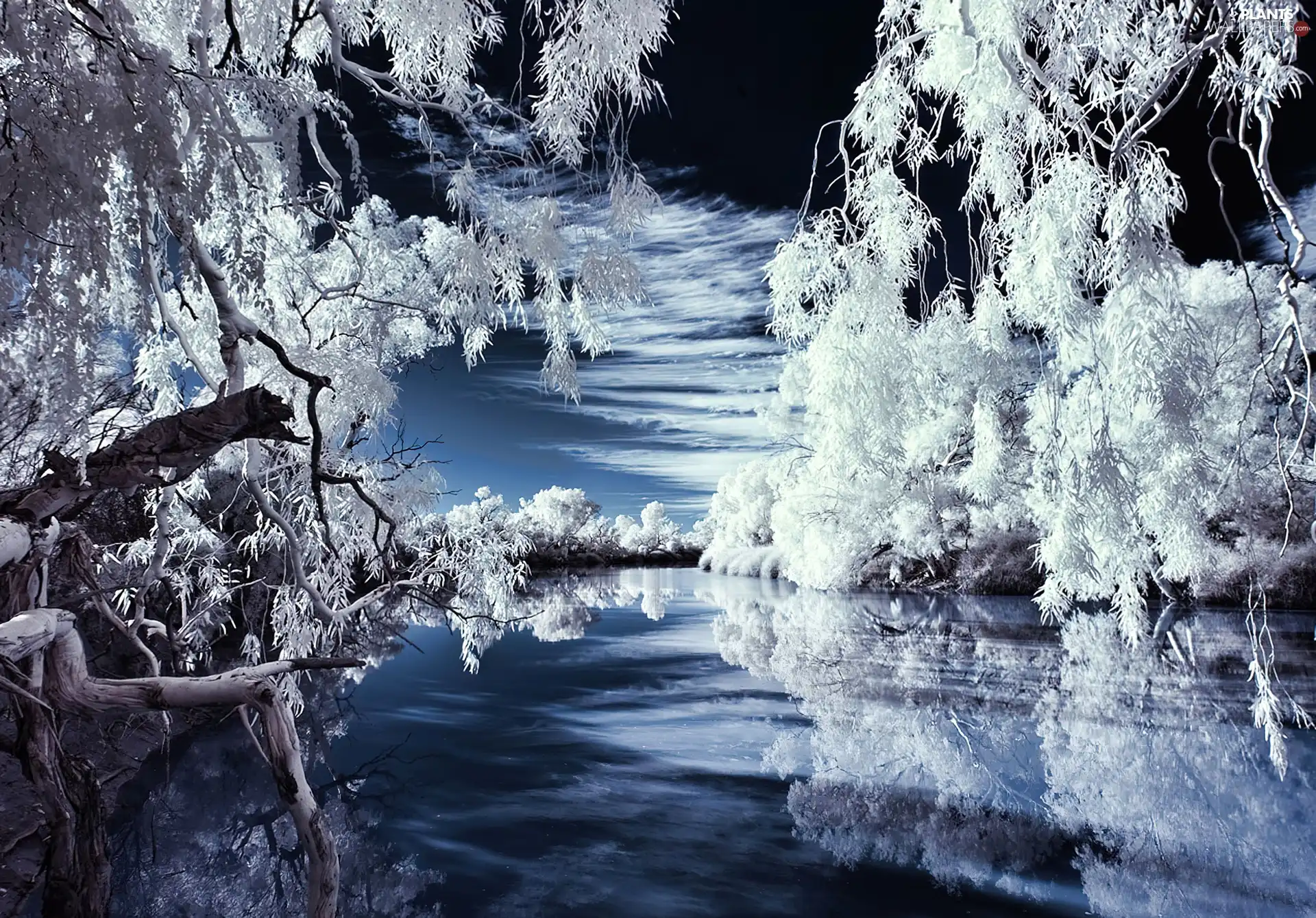 trees, viewes, Aura, River, Winter