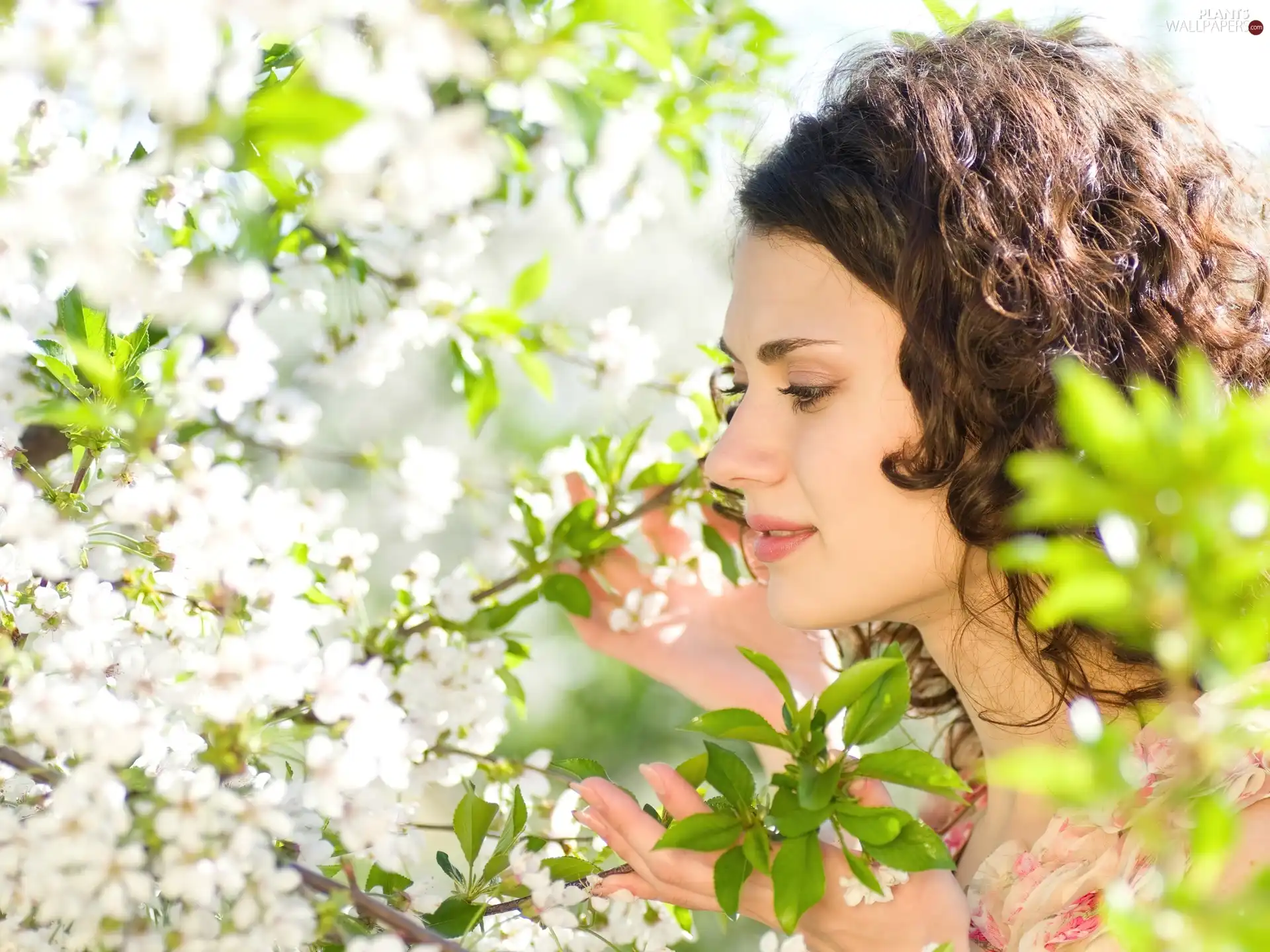 trees, viewes, orchard, flourishing, Women