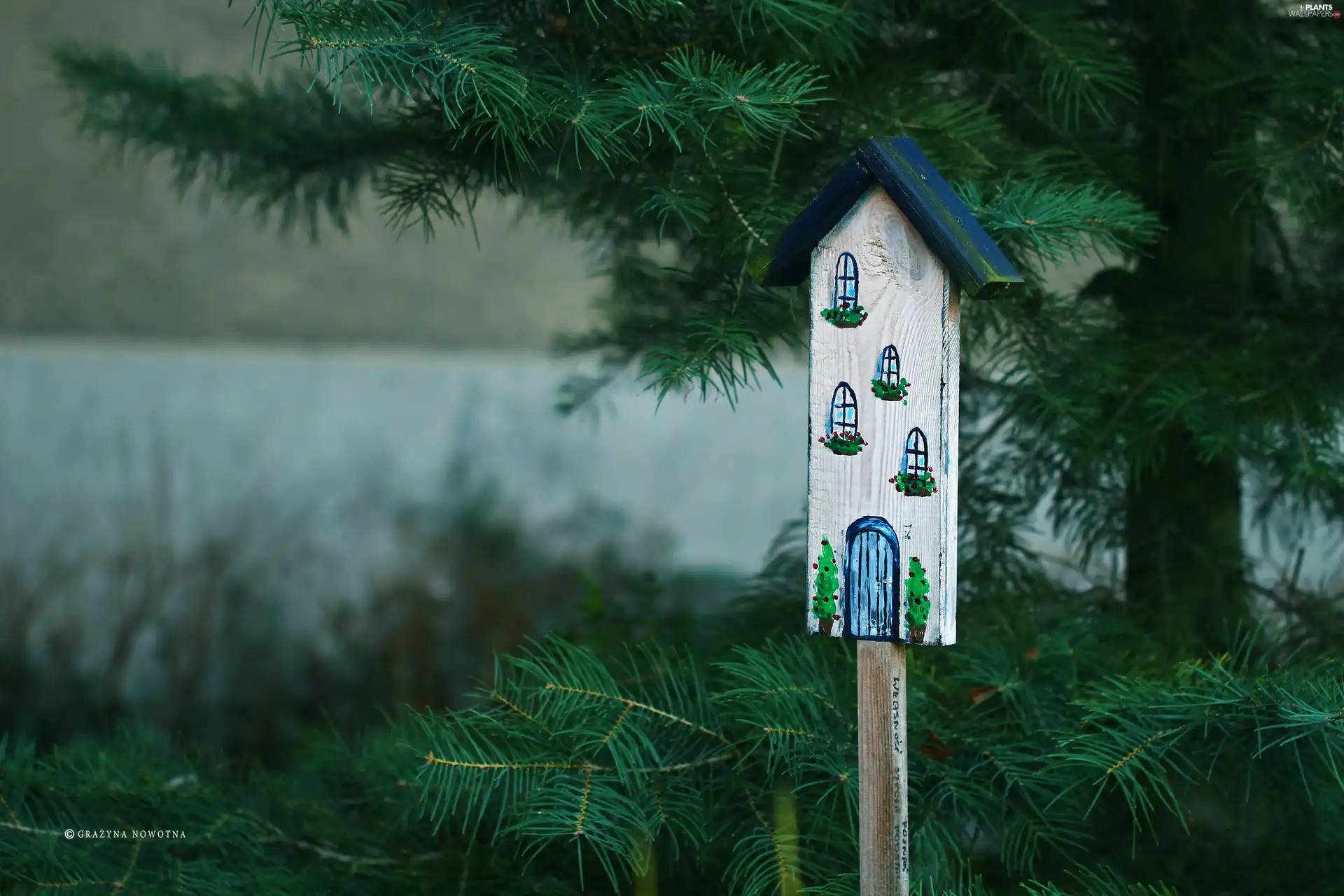 trees, viewes, decoration, Home, Wooden