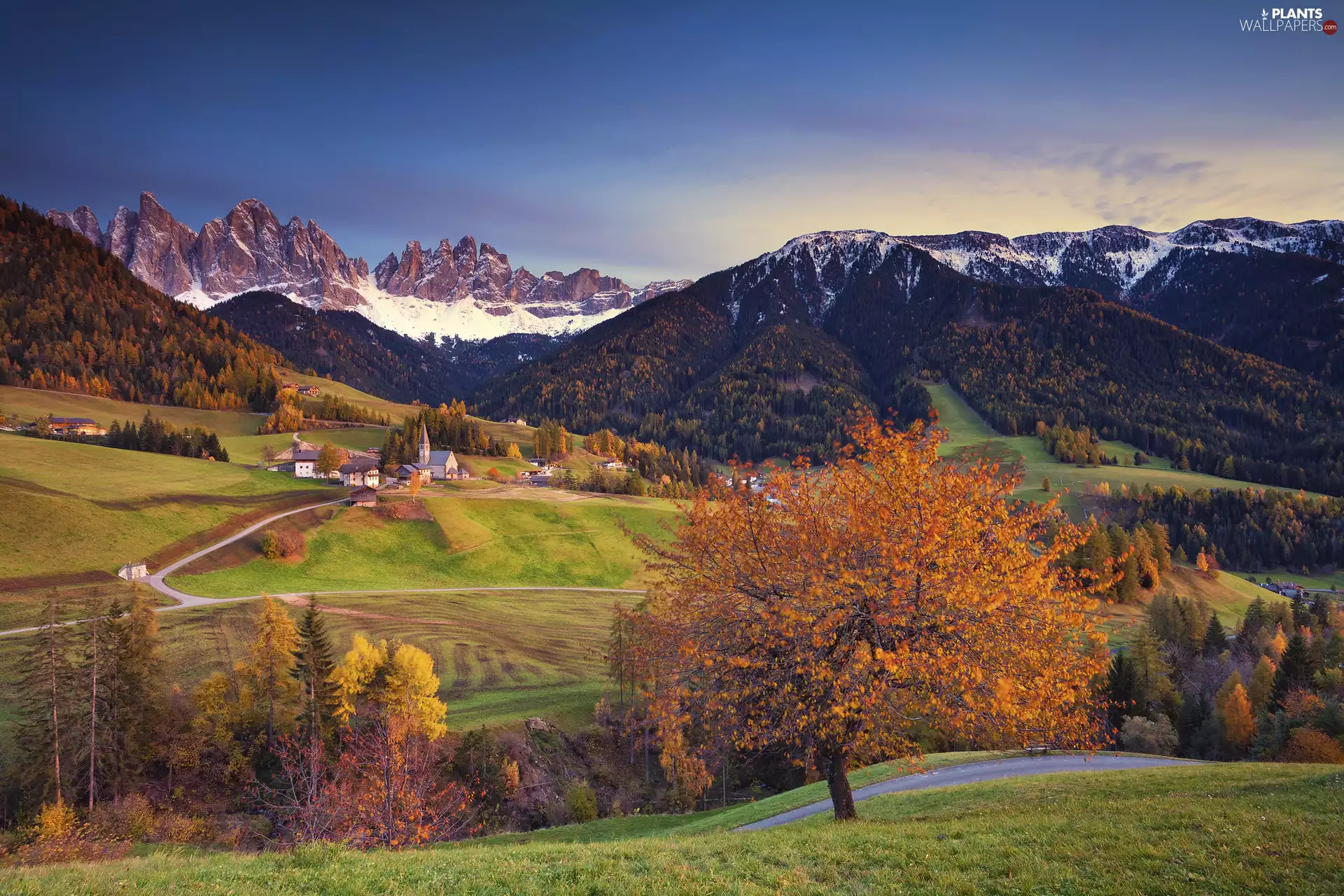 Mountains, Italy, woods, Dolomites, viewes, Church, Houses, Village of Santa Maddalena, Val di Funes Valley, autumn, trees