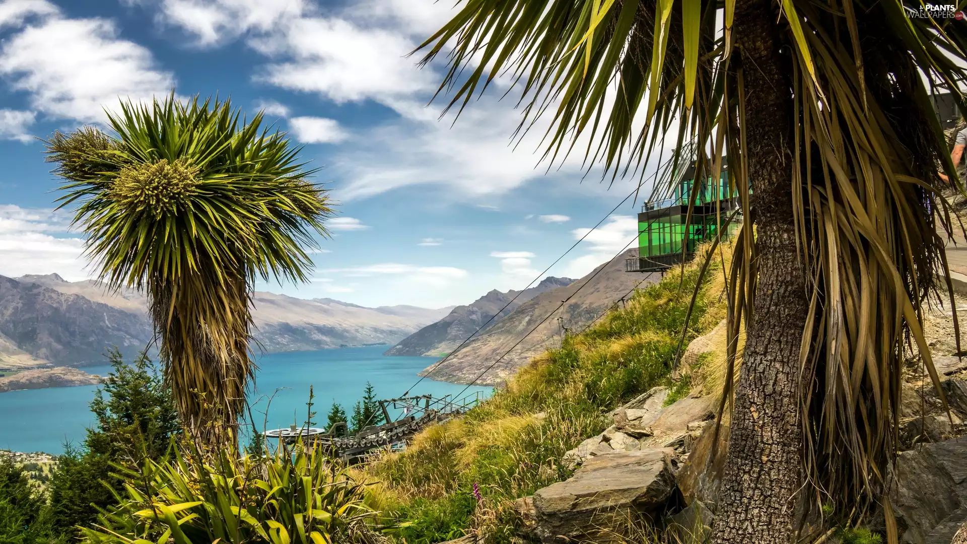 viewes, Lake Wakatipu, Queenstown, New Zeland, Viewpoint, trees