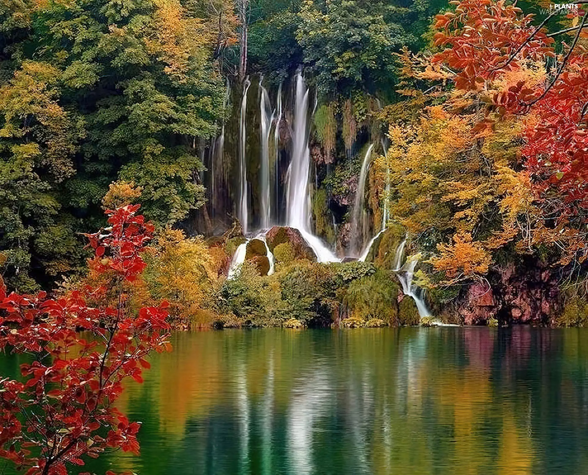 waterfall, viewes, autumn, trees