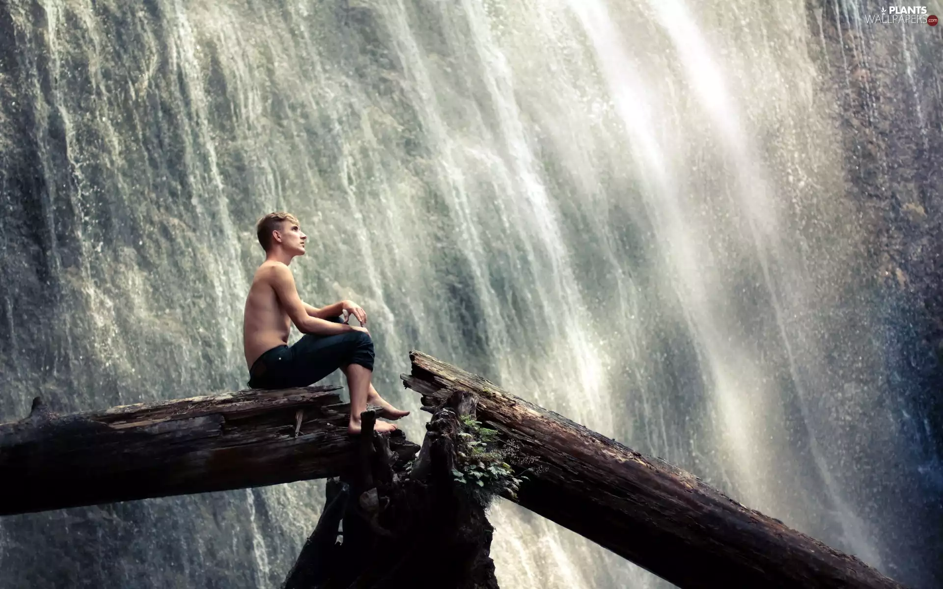 waterfall, a man, trees