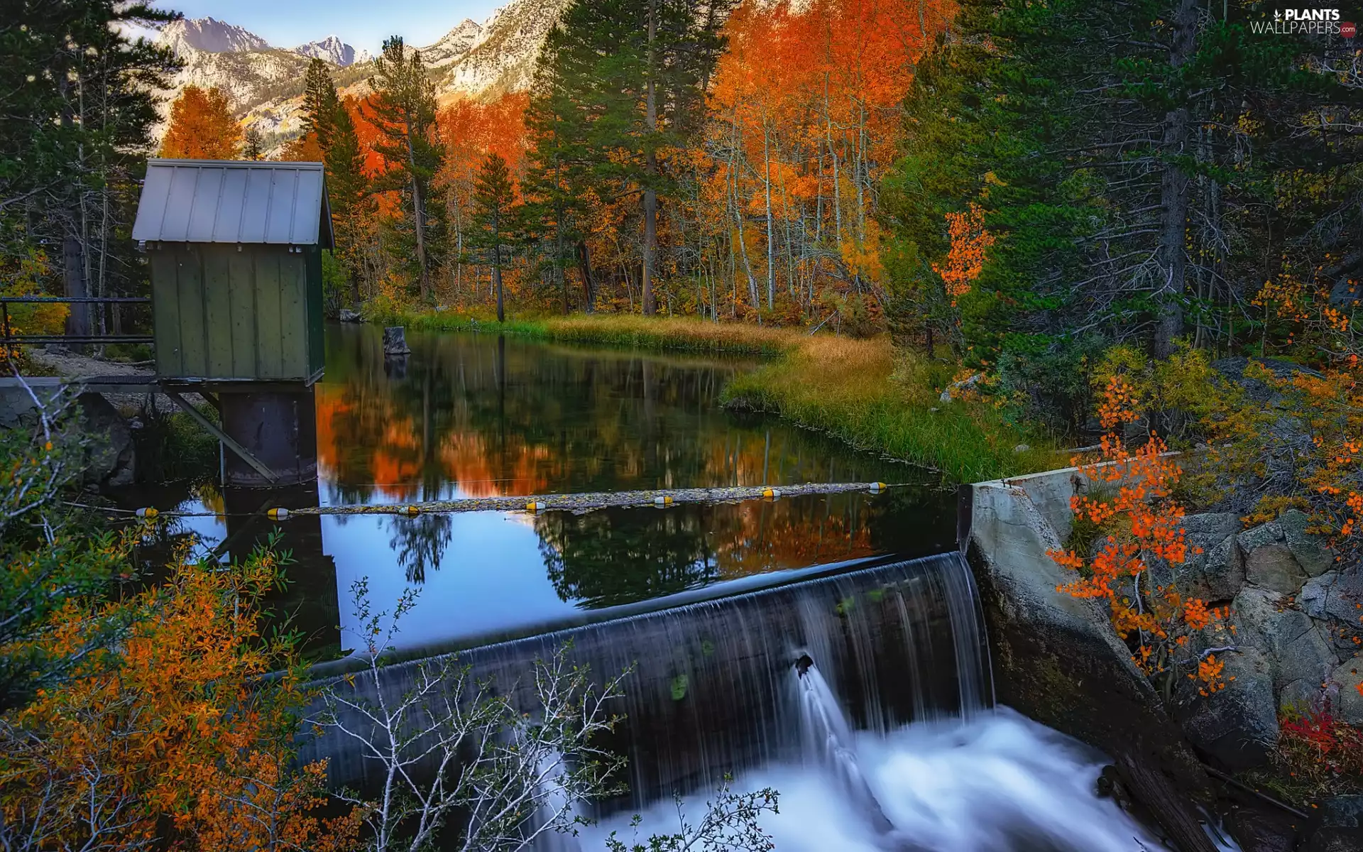 trees, autumn, viewes, forest, Home, Mountains, waterfall, Stones, lake