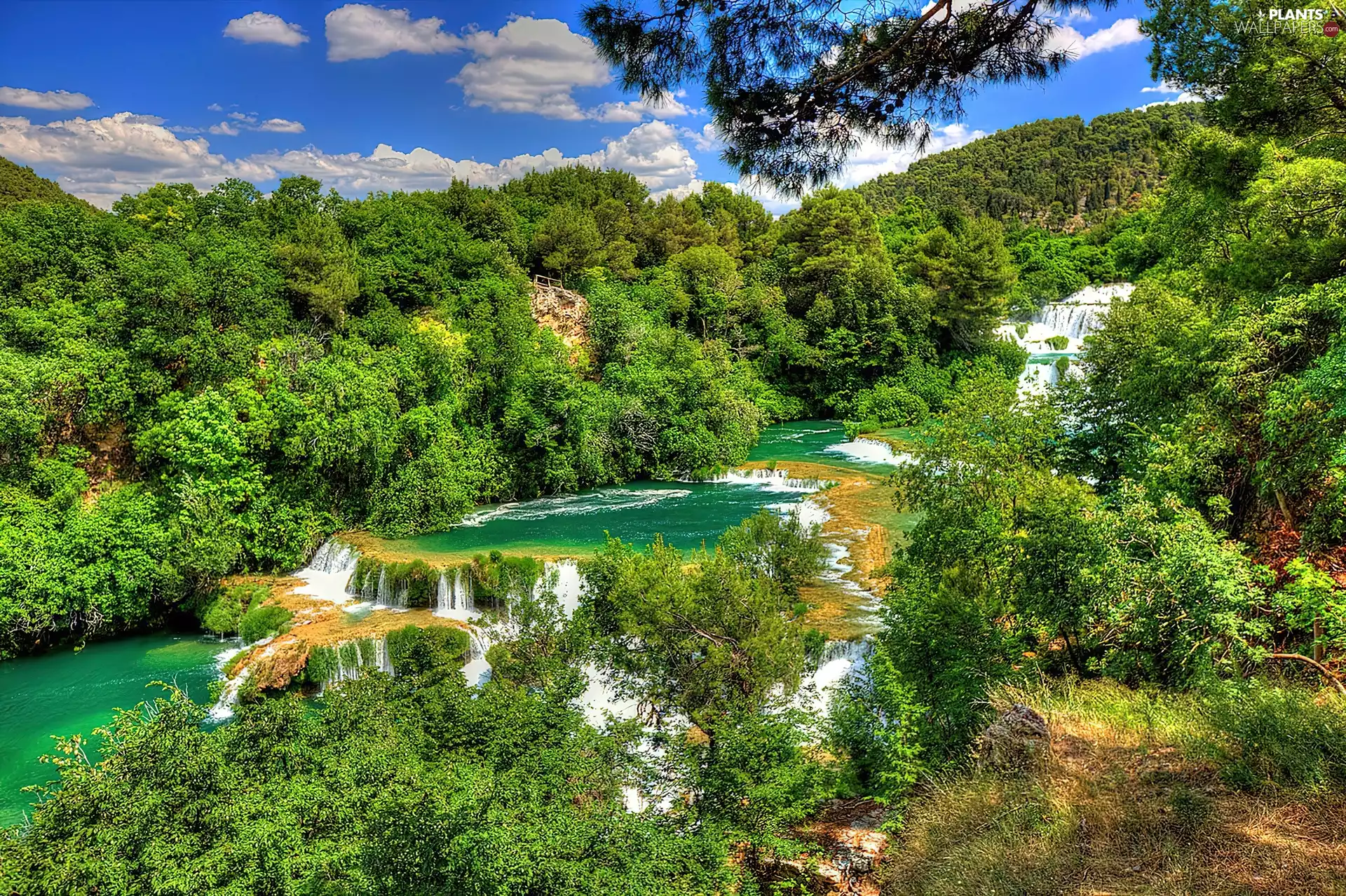 waterfall, viewes, River, trees