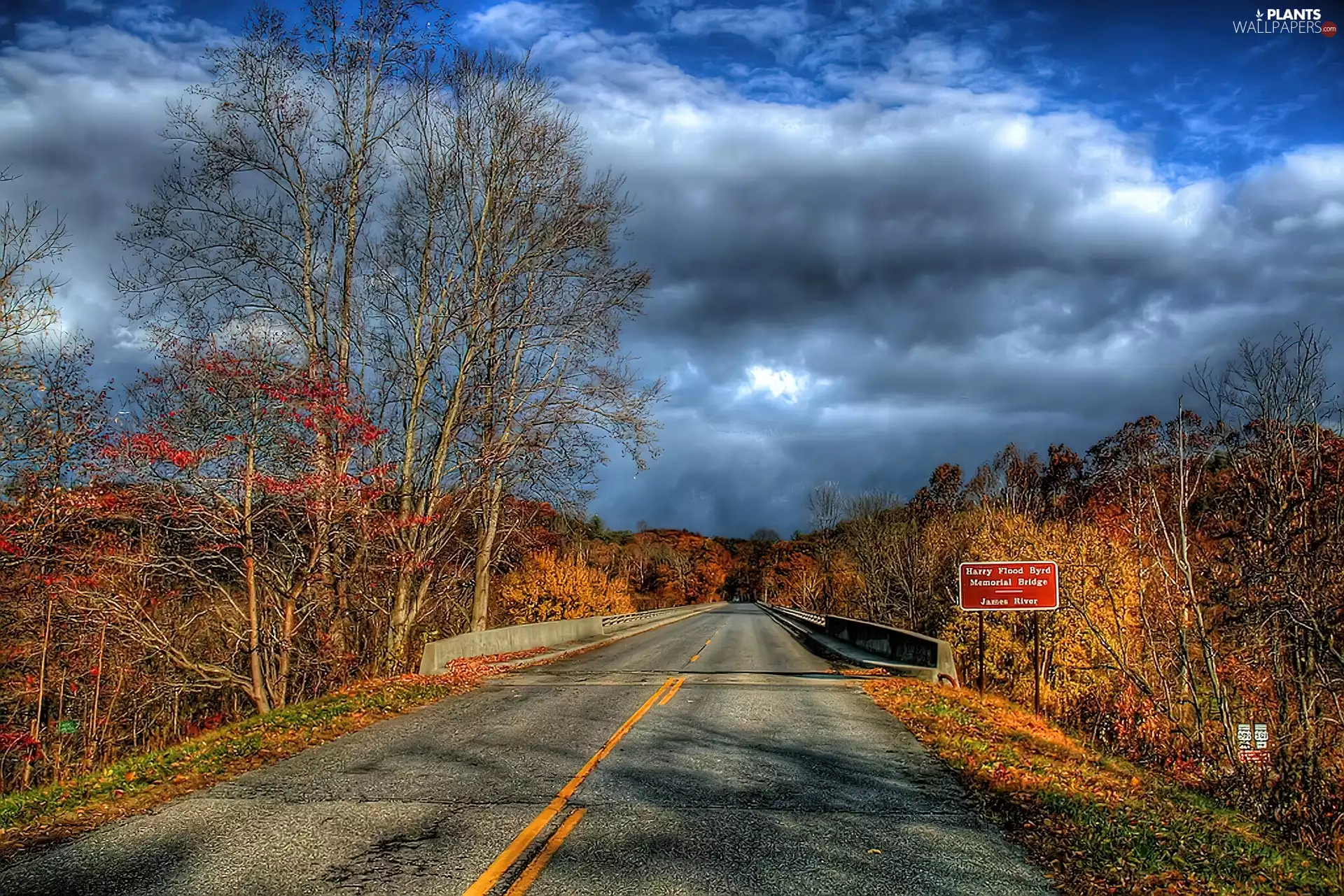 Way, viewes, clouds, trees