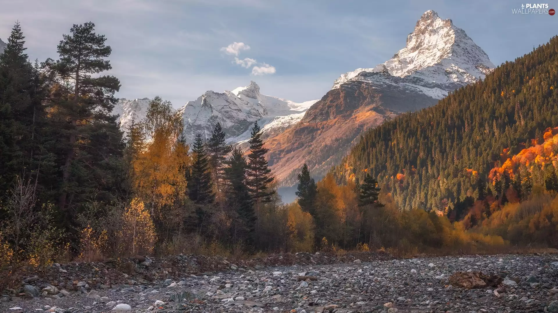 viewes, forest, Way, trees, Mountains, Stones, autumn