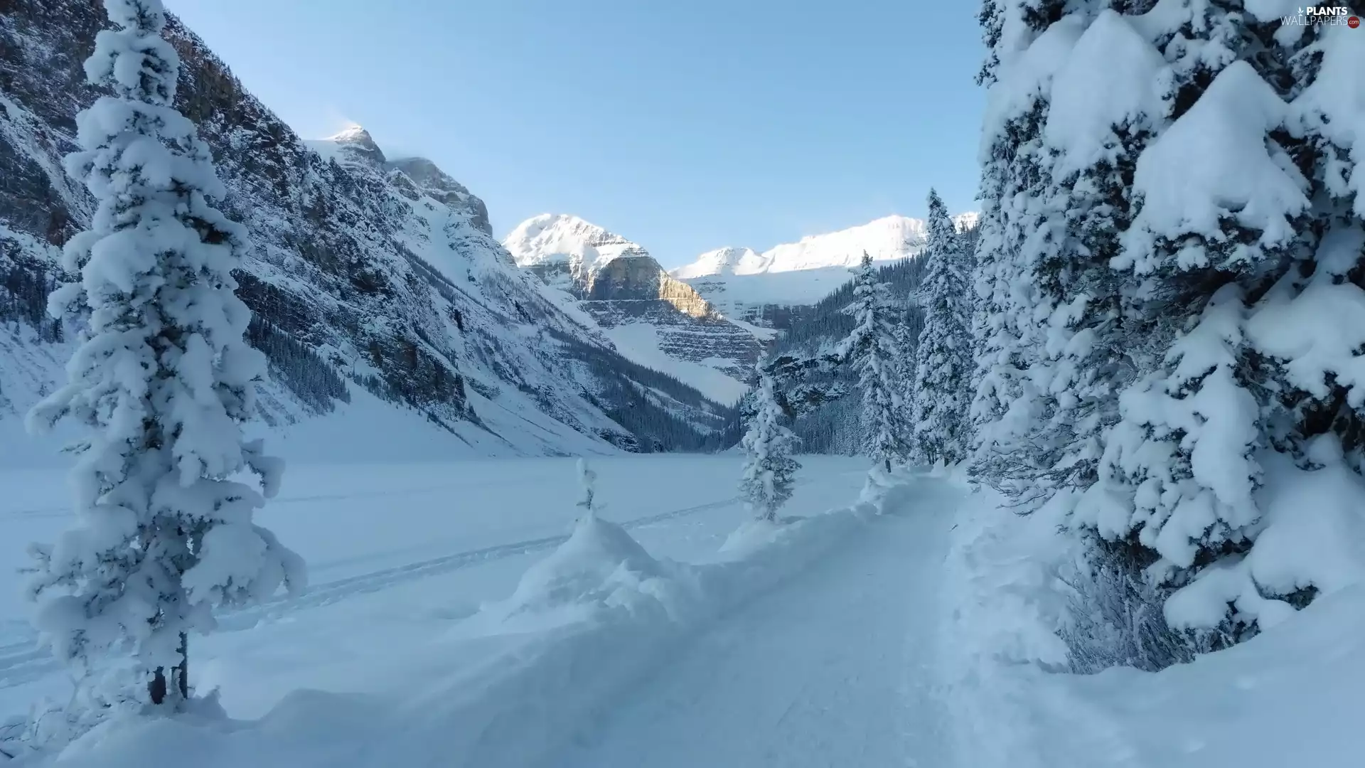 viewes, winter, Way, Mountains, cleared of snow, trees