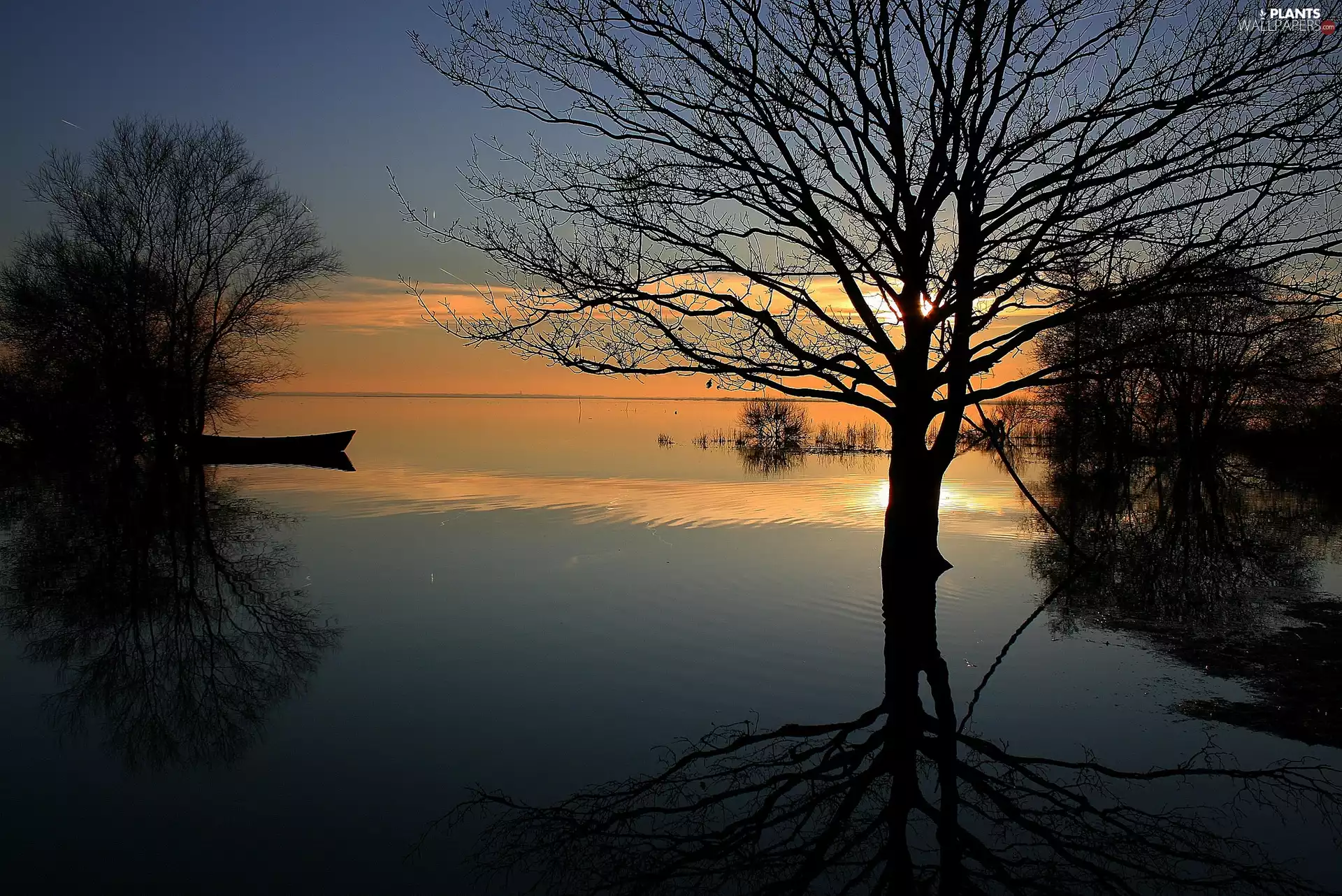 viewes, Boat, west, trees, lake, reflection, sun
