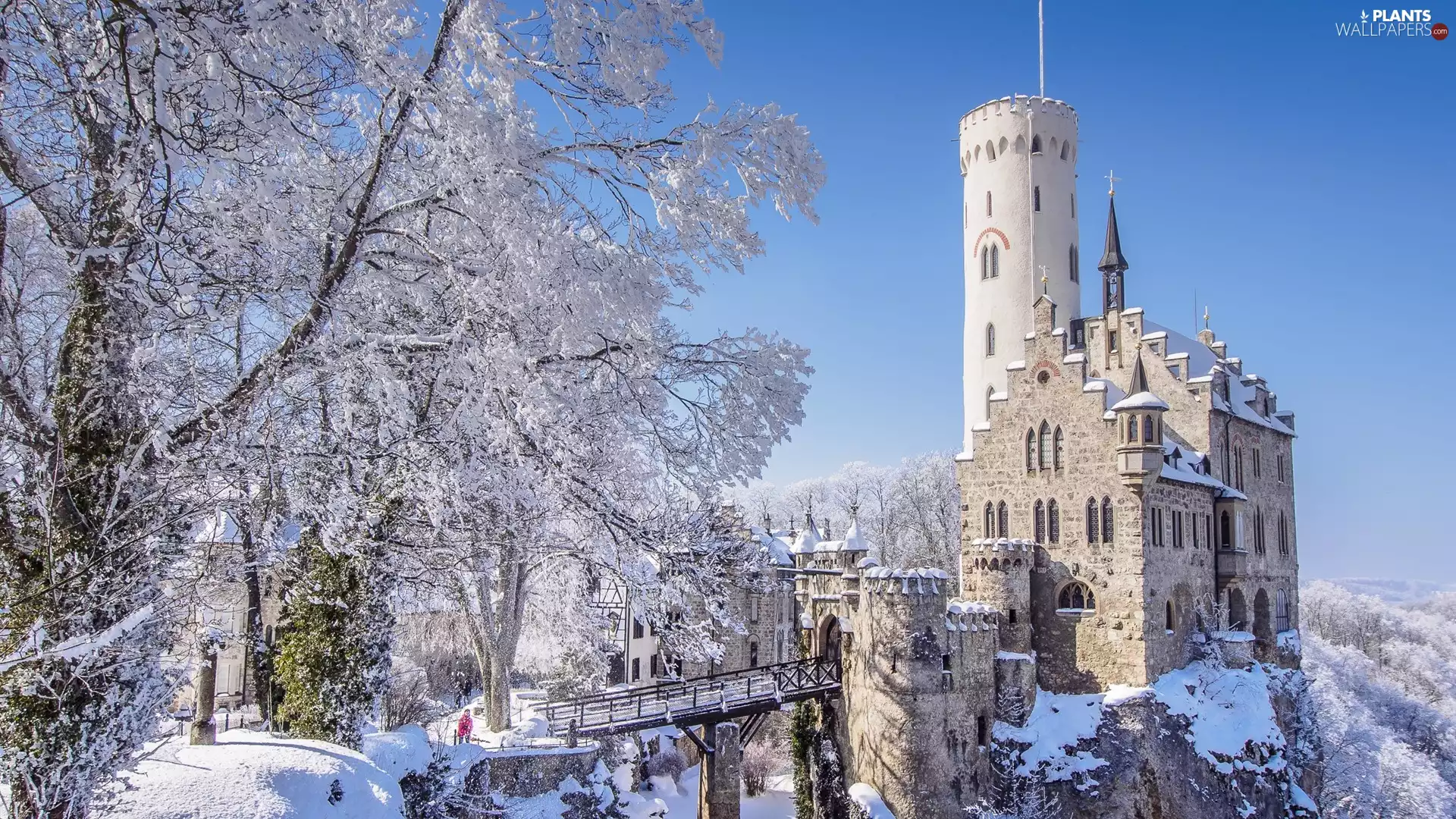 Lichtenstein Castle, Germany, trees, viewes, winter
