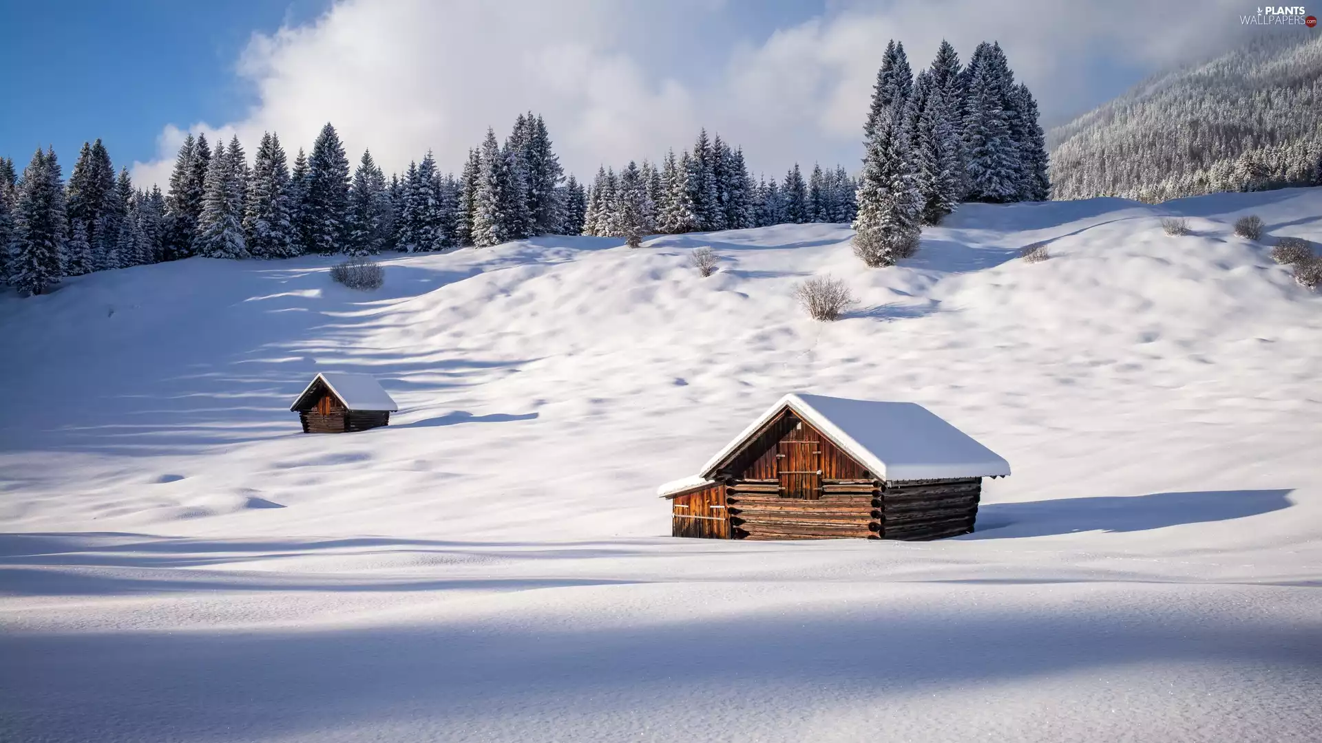 Houses, The Hills, trees, viewes, winter