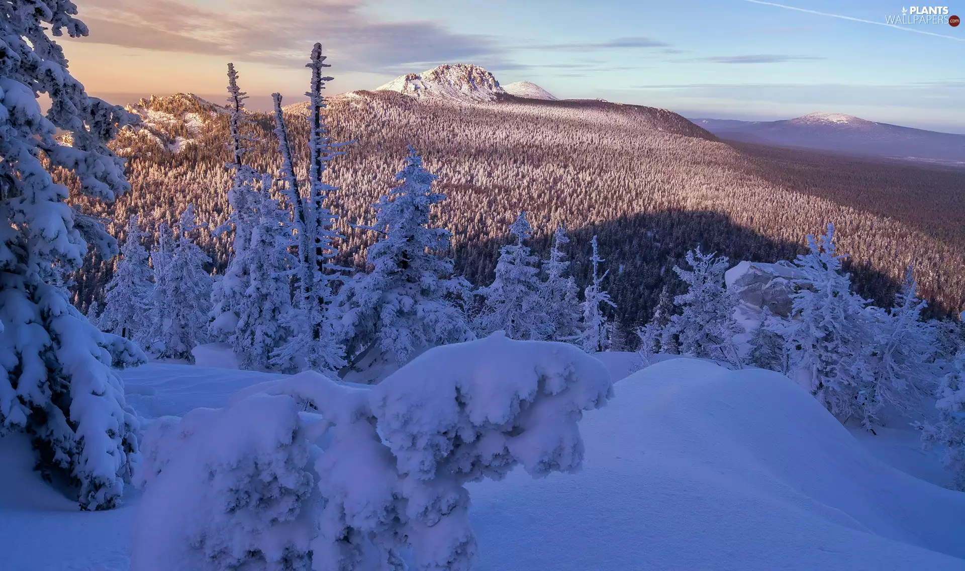 The Hills, winter, trees, viewes, Snowy, Mountains