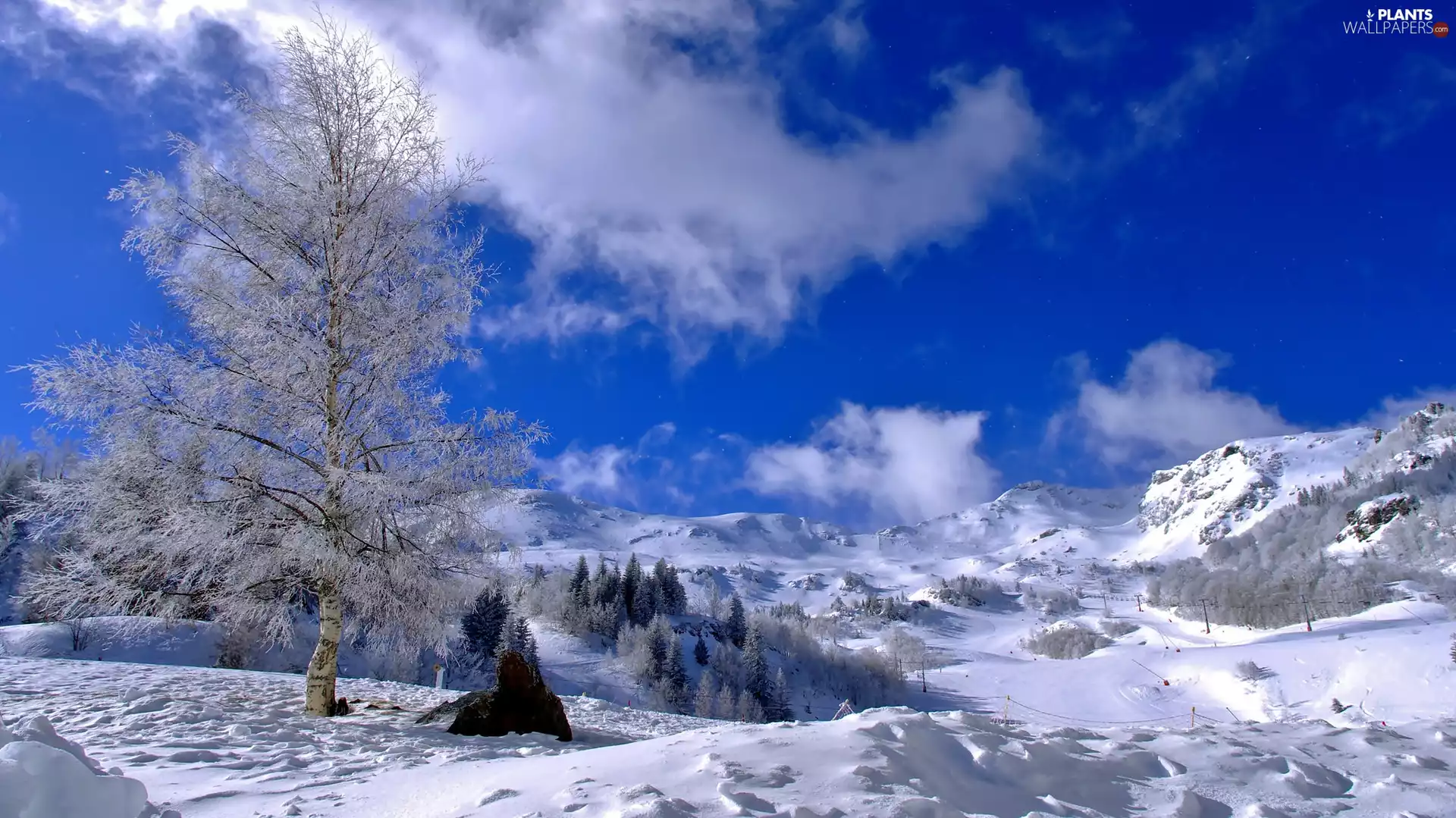 Mountains, The Hills, trees, viewes, winter