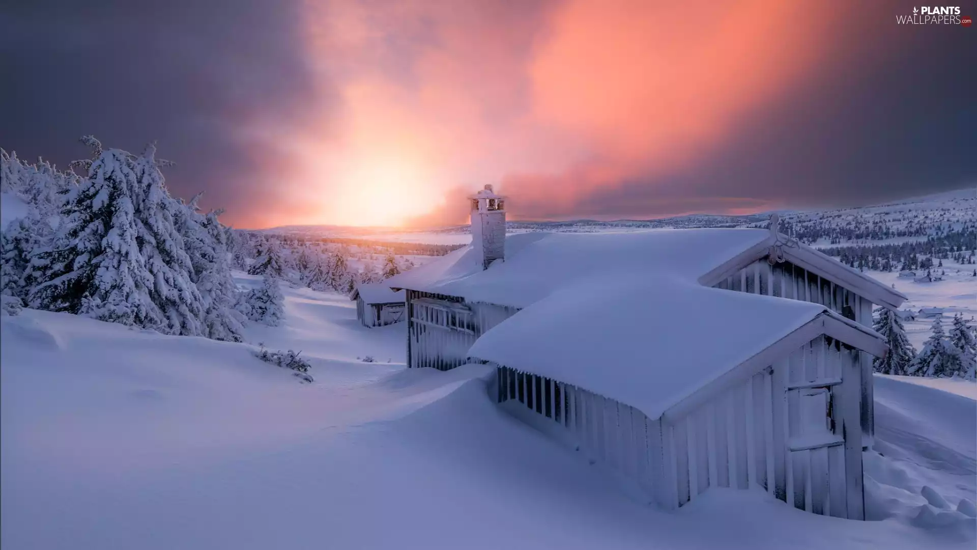 Great Sunsets, winter, trees, viewes, Houses, snow