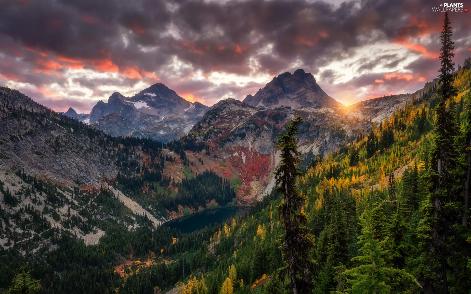 trees, viewes, Great Sunsets, lake, autumn, woods, Cascade Mountains, clouds