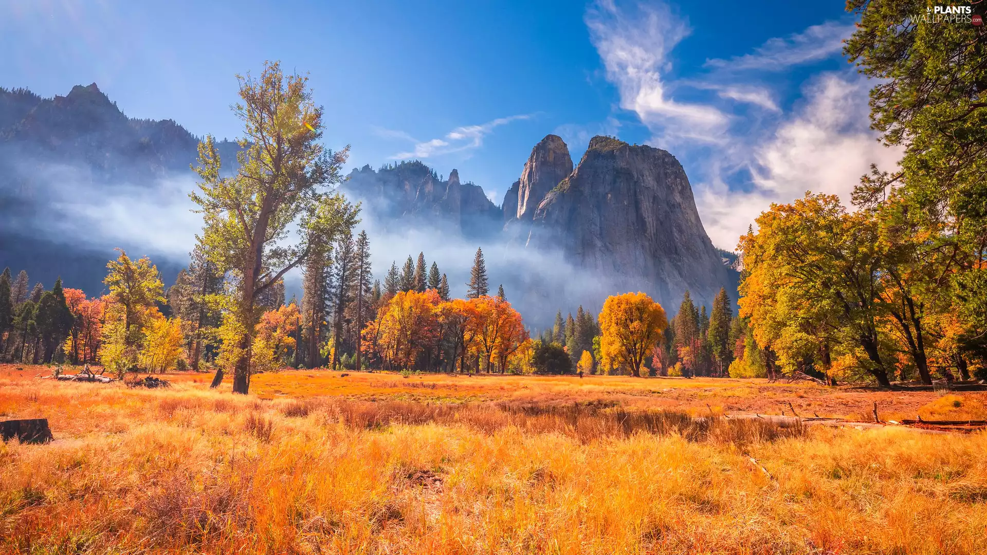 Mountains, autumn, Fog, trees, California, The United States, grass, Yosemite National Park, viewes