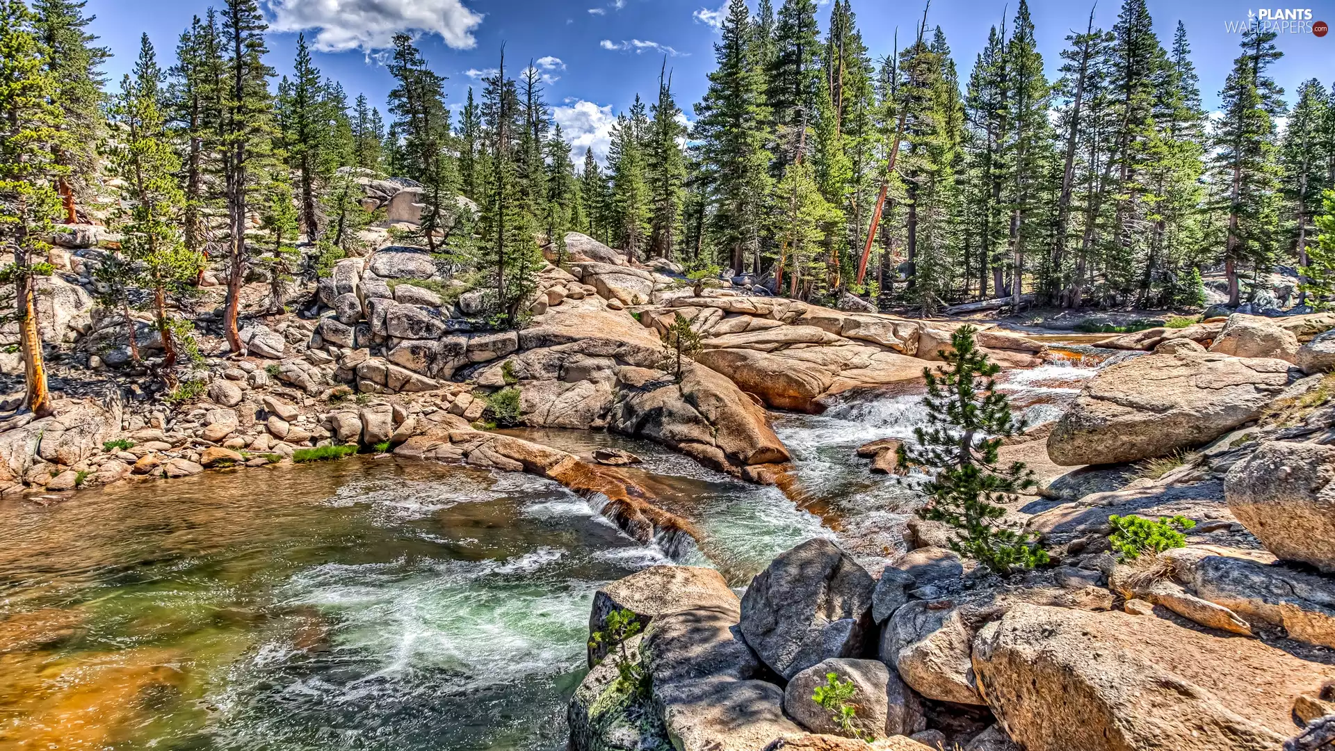 The United States, State of California, rocks, trees, Stones, Tuolumne River, Yosemite National Park, viewes