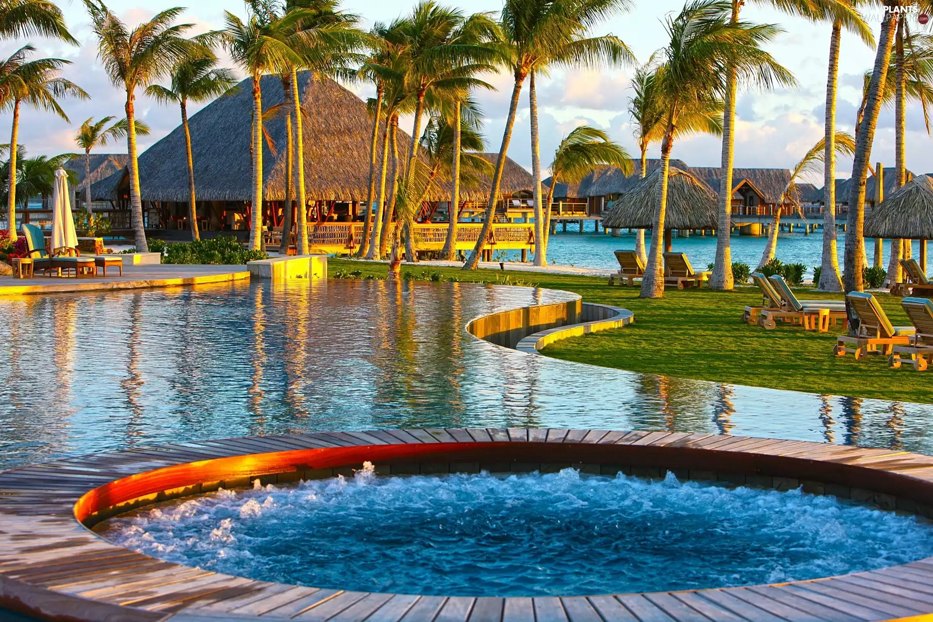 piles, Houses, Palms, tropic, spa, an