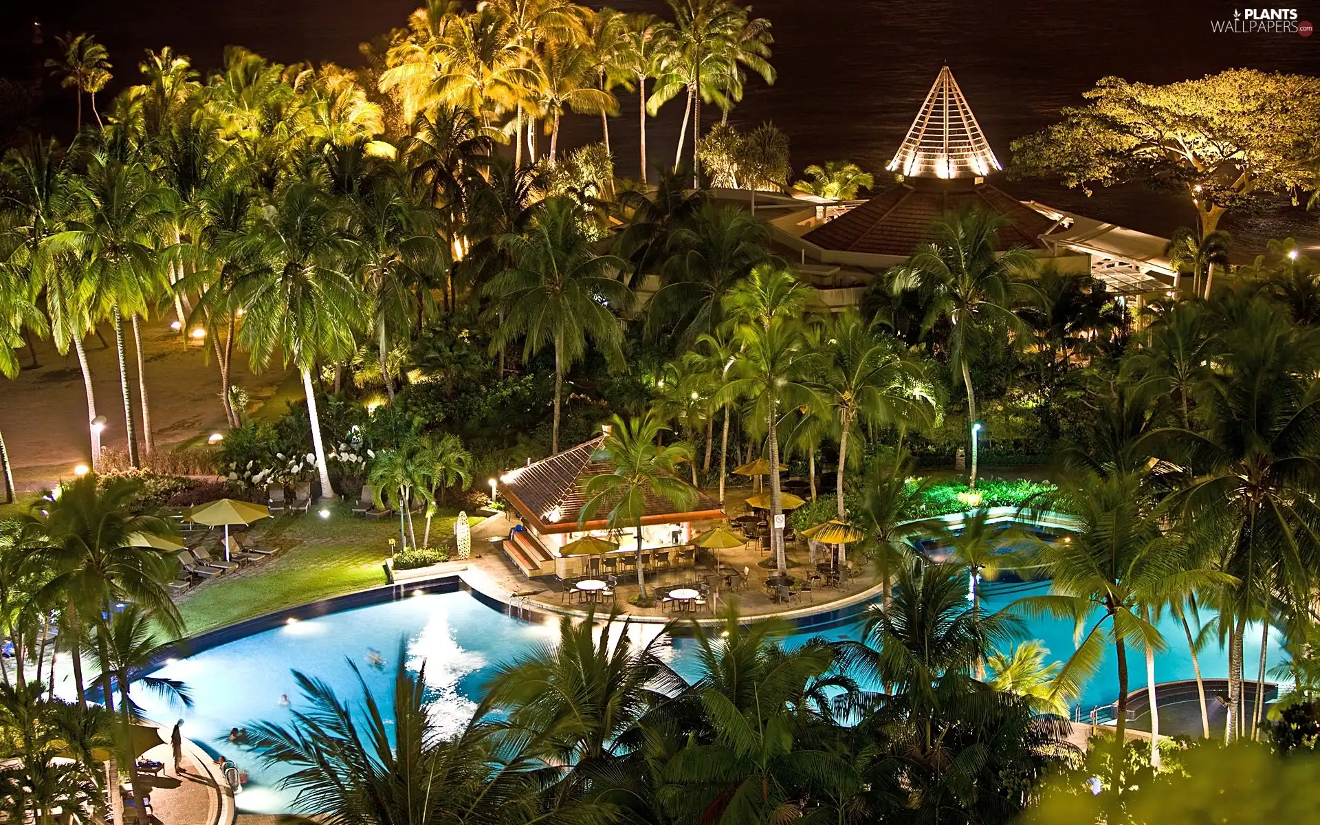 tropic, Palms, terrace, Pool, Hotel hall