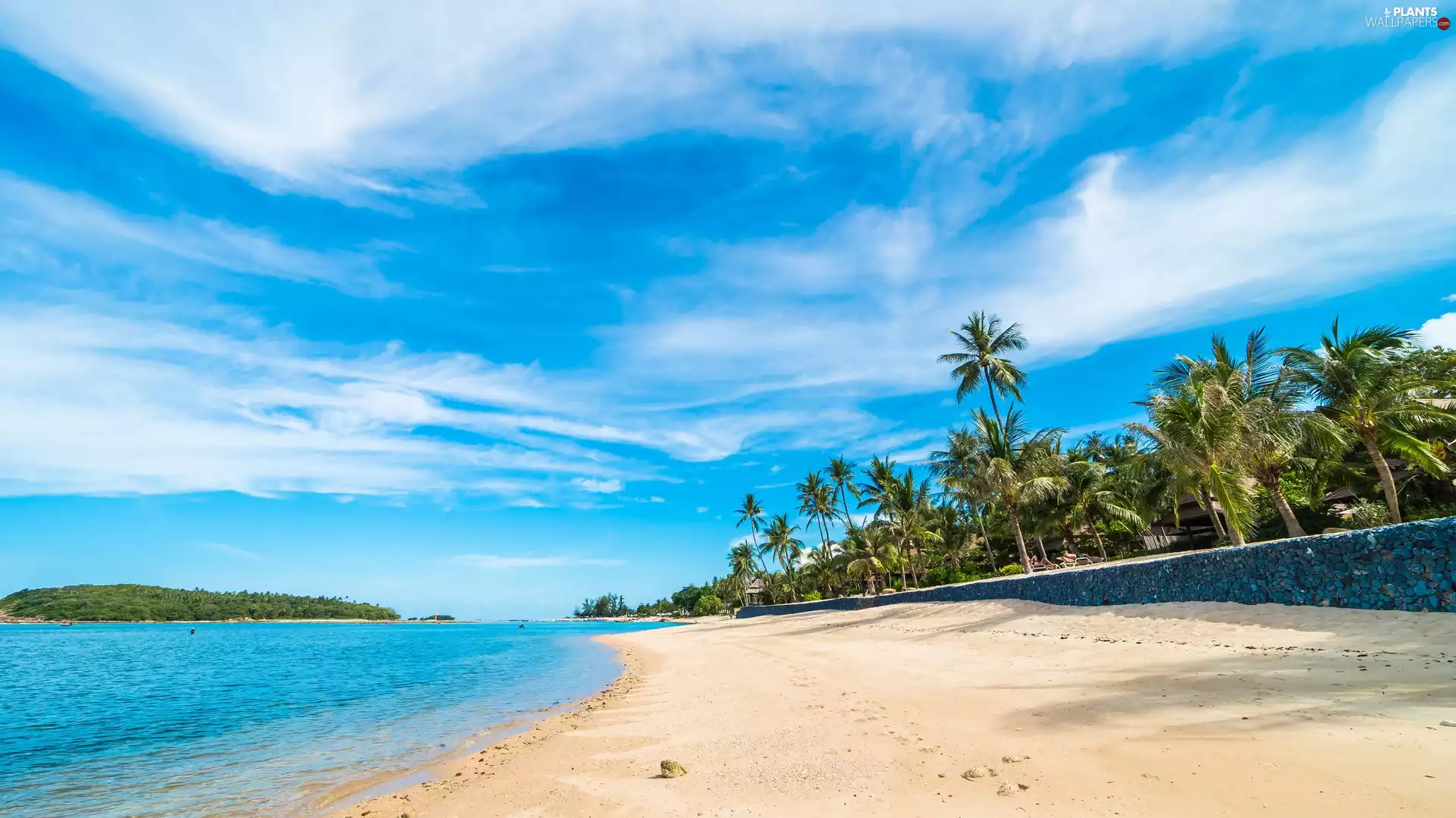coast, sea, clouds, Tropical, Palms, Beaches
