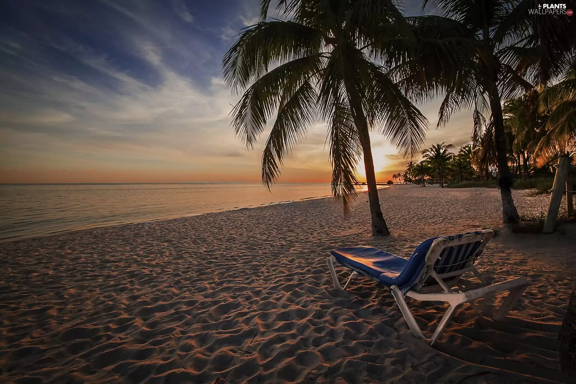 Sunrise, Tropical, Beaches, Palms, Ocean