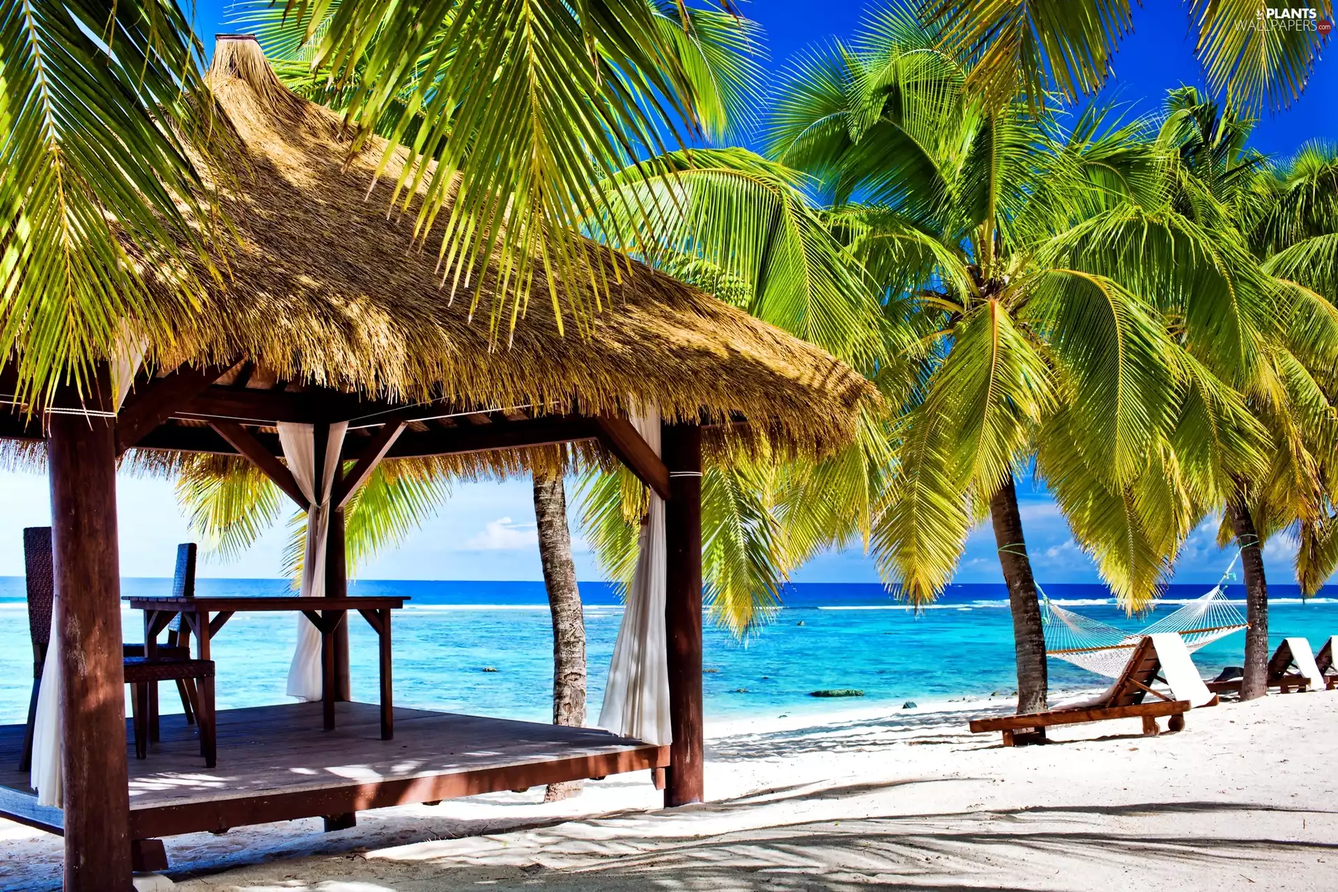 Ocean, Tropical, Beaches, Palms, pavilion
